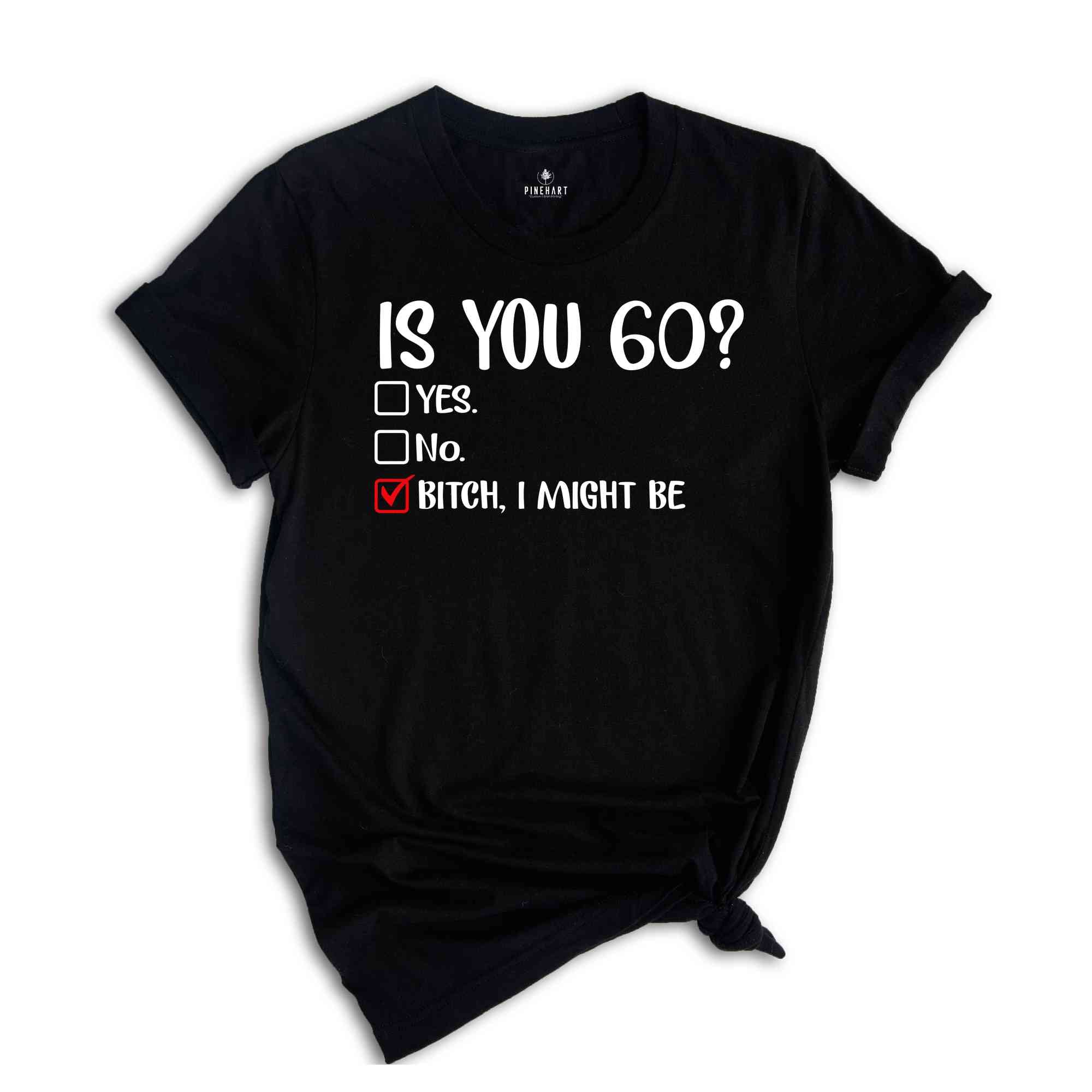 Is You 60? Bitch I Might Be Shirt, Funny 60th Birthday Shirt, Sassy 60th Birthday Tee, 60th Birthday Gift, Gift For 60th Birthday