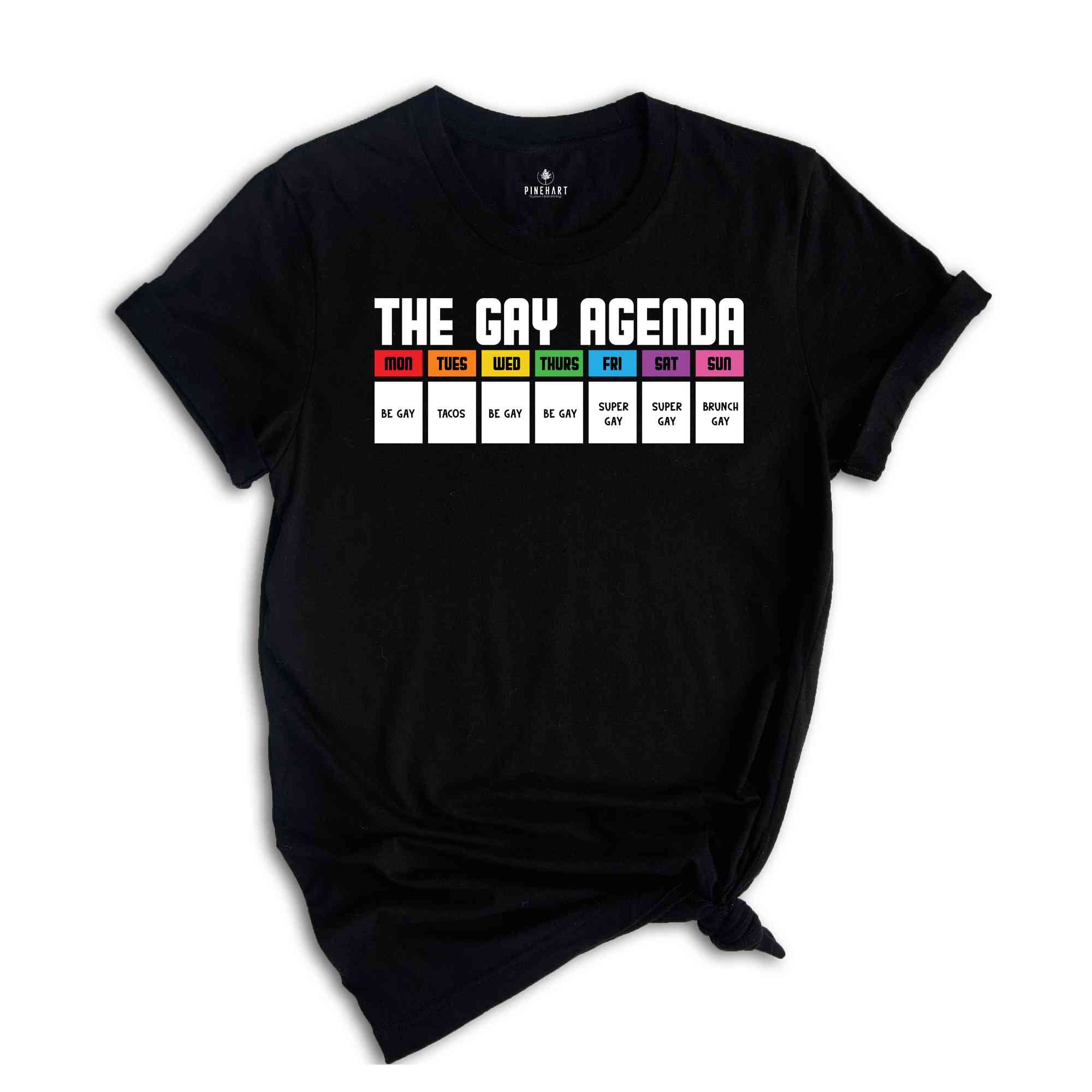 The Gay Agenda Shirt, Pride Month Shirt, Gay Shirt, LGBT Shirt, Bisexual Shirt, Lesbian Shirt, Vintage Shirt, LGBT Gift