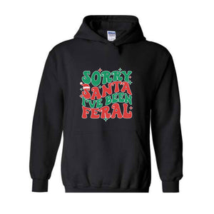 Sorry Santa I've Been Feral Sweatshirt, Funny Christmas Sweatshirt, Christmas Vibes Sweater, Cute Christmas Sweatshirt