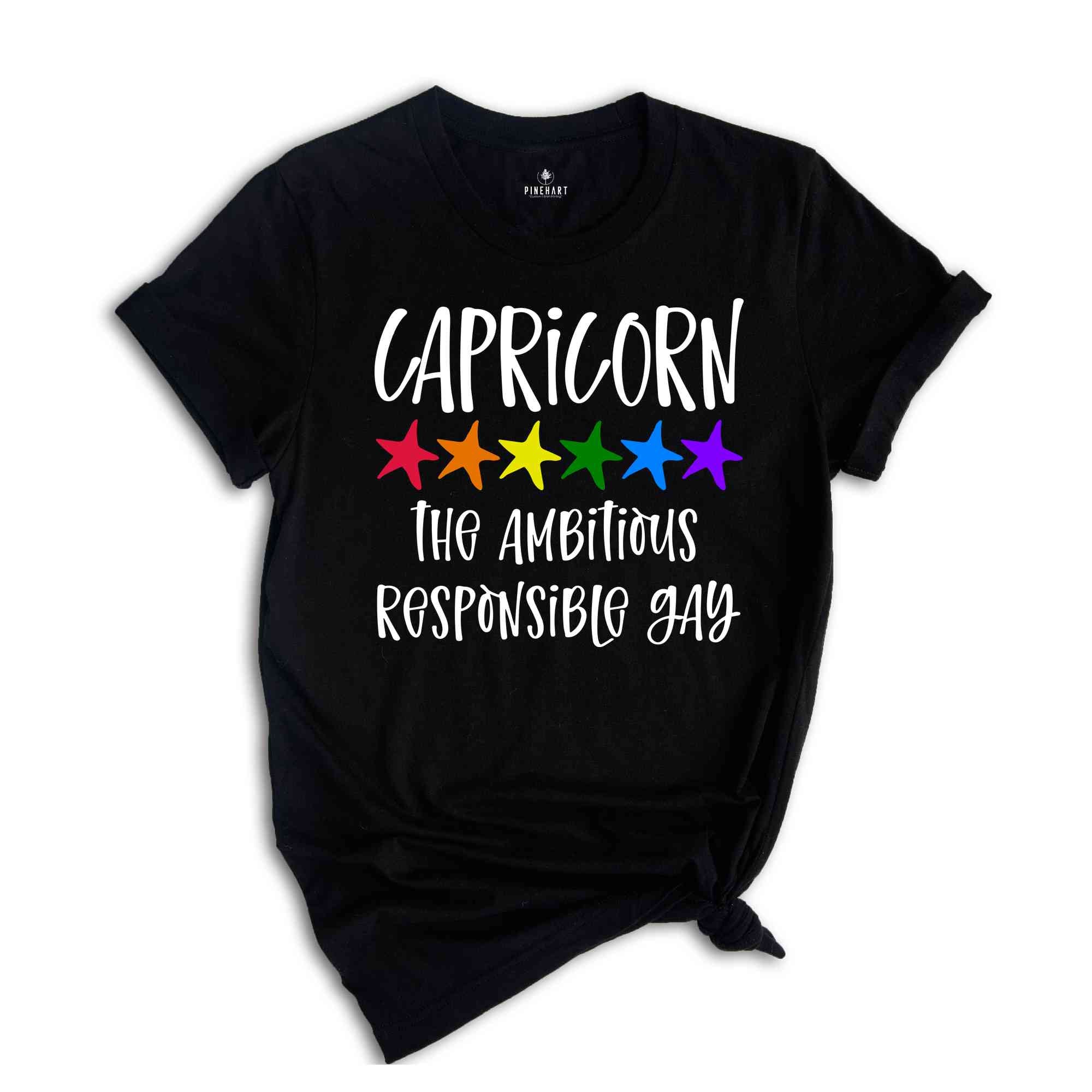 Capricorn The Ambitious Responsible Gay Zodiac Shirt, LGBT Pride Shirt, Capricorn Shirt, Gift For Gay Shirt, Gay Pride Shirt, Gay Zodiac