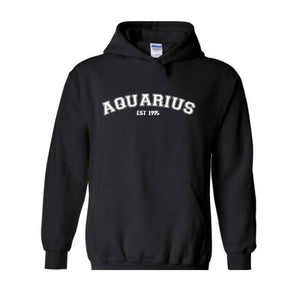 Aquarius Birthday 1995 Sweatshirt, February Birthday Hoodie, Astrology Hoodie, Astrology Gift, 30th Sweatshirt, 30th Birthday Tee