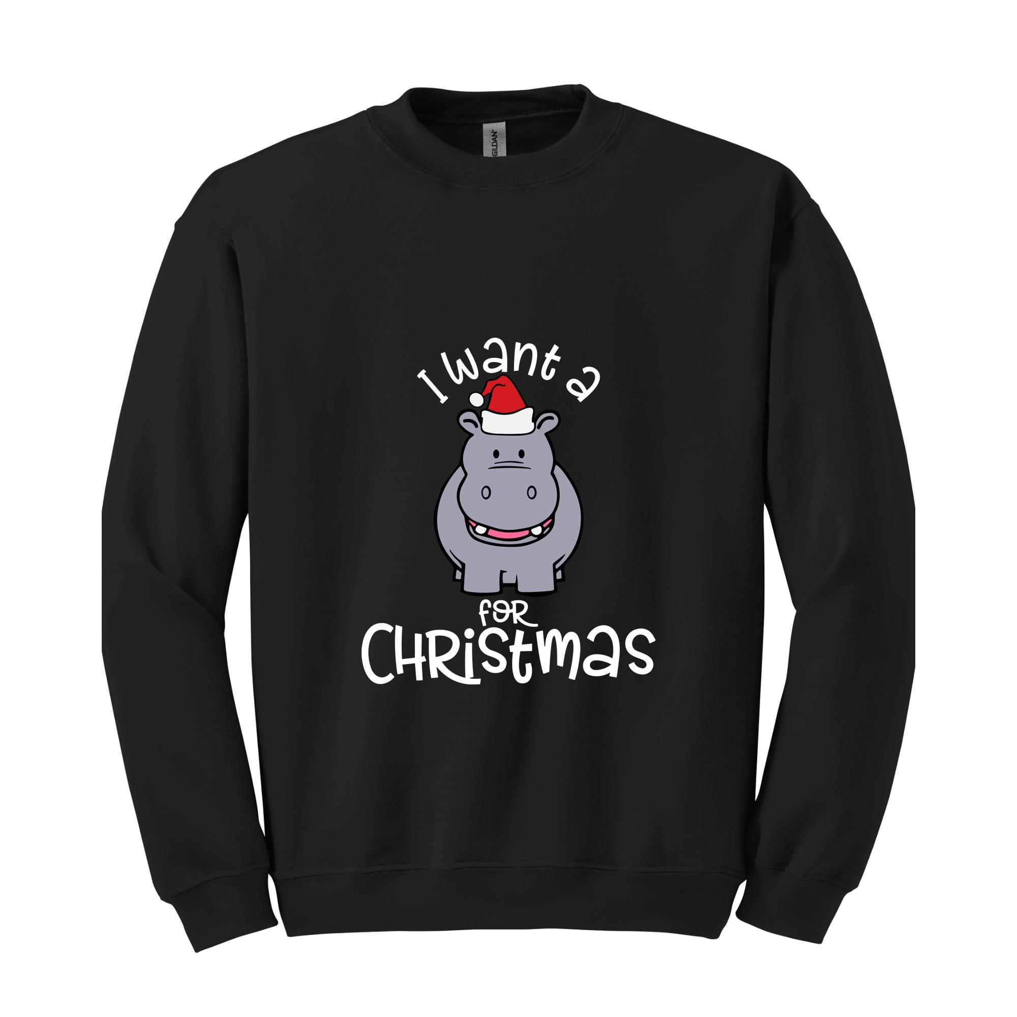 I Want A Hippopotamus For Christmas Sweatshirt, Christmas Hippo Sweatshirt, Christmas Kids Sweatshirt, Funny Christmas Gift