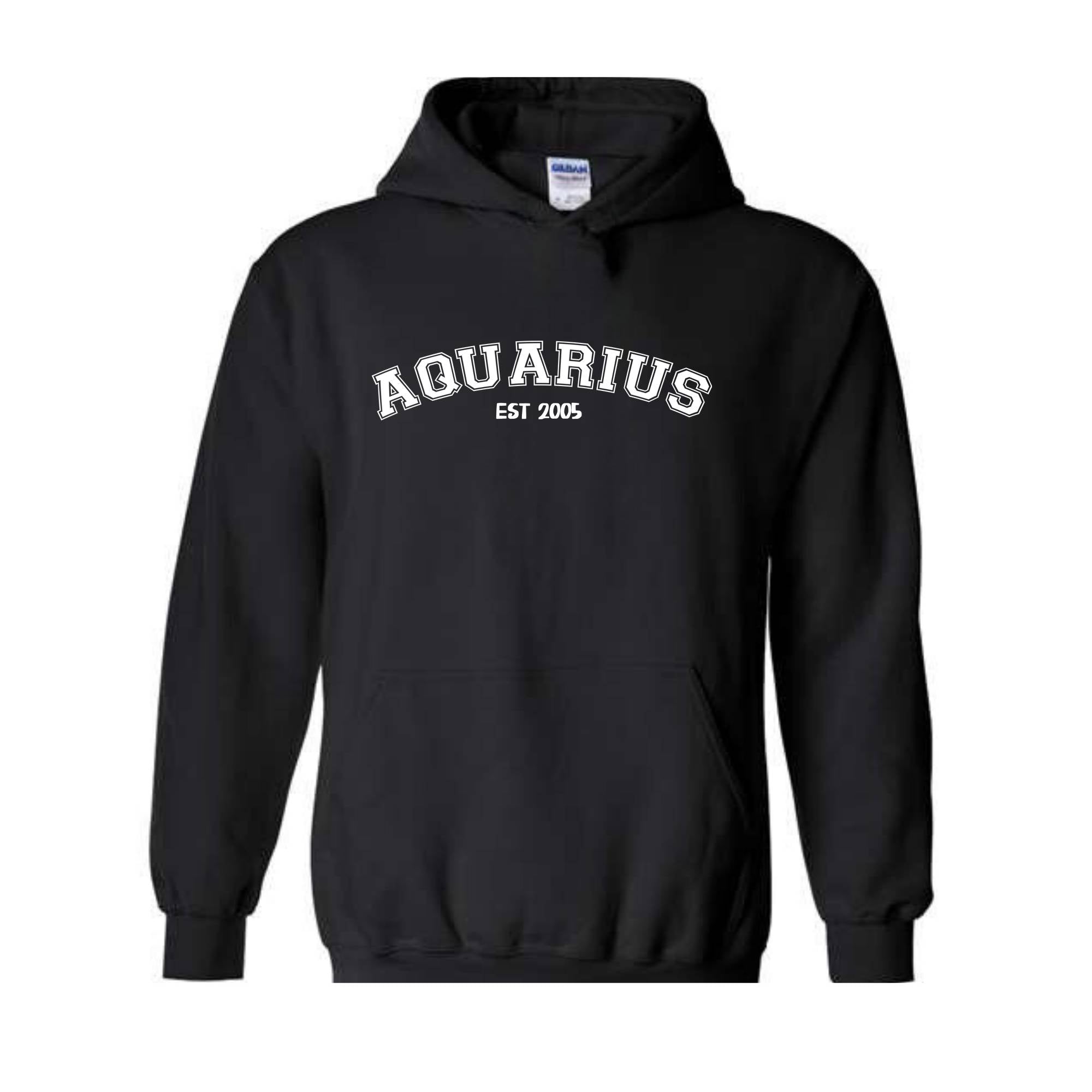 Aquarius Birthday 2005 Sweatshirt, February Birthday Hoodie, Astrology Hoodie, Astrology Gift, 20th Sweatshirt, 20th Birthday Tee