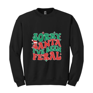 Sorry Santa I've Been Feral Sweatshirt, Funny Christmas Sweatshirt, Christmas Vibes Sweater, Cute Christmas Sweatshirt