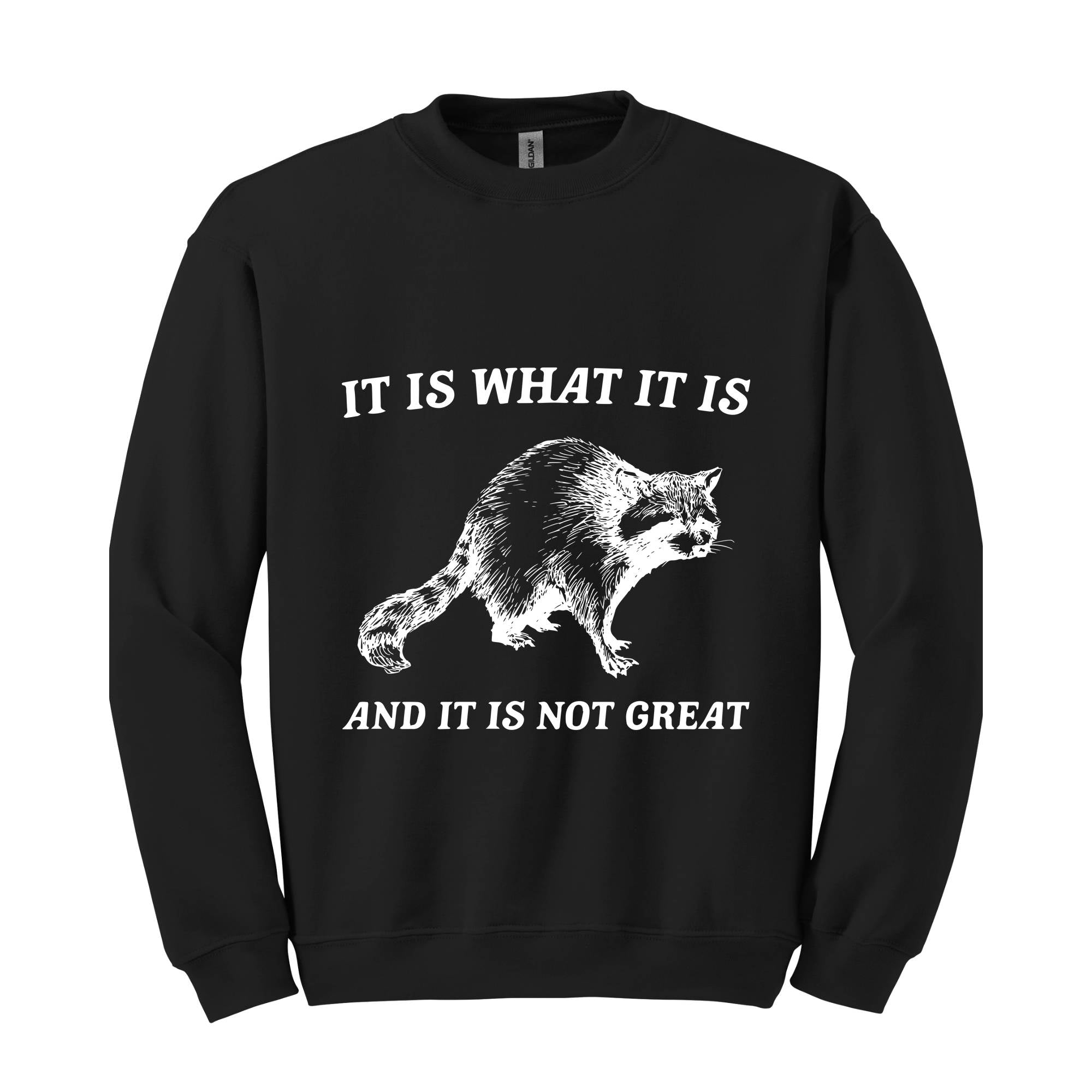 It Is What It Is And It Is Not Great Sweatshirt, It Is Not Great Hoodie, Funny Sweatshirt, Funny Memes Hoodie