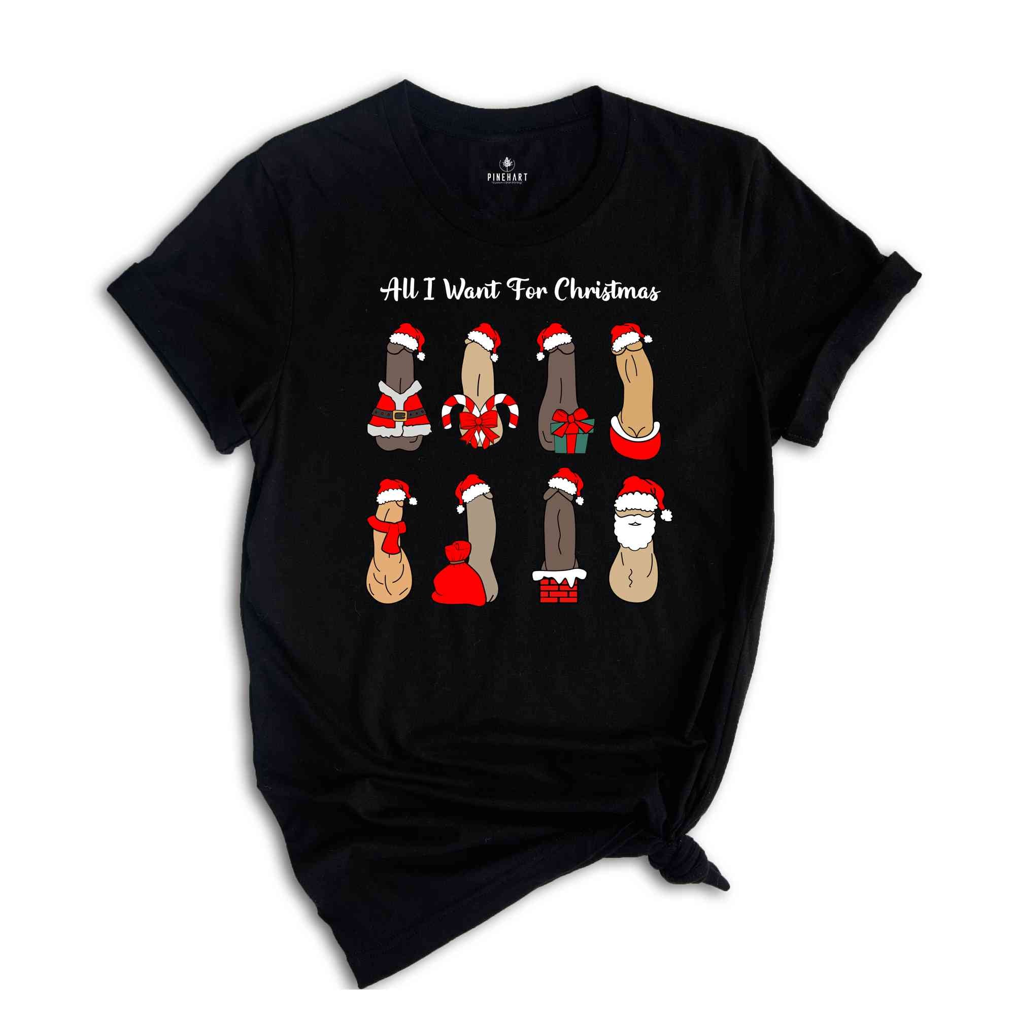 All I Want For Christmas Shirt, Dick Diversity Shirt, Adult Humor Shirt, Sarcastic Xmas Shirt, Adult Humor Gift