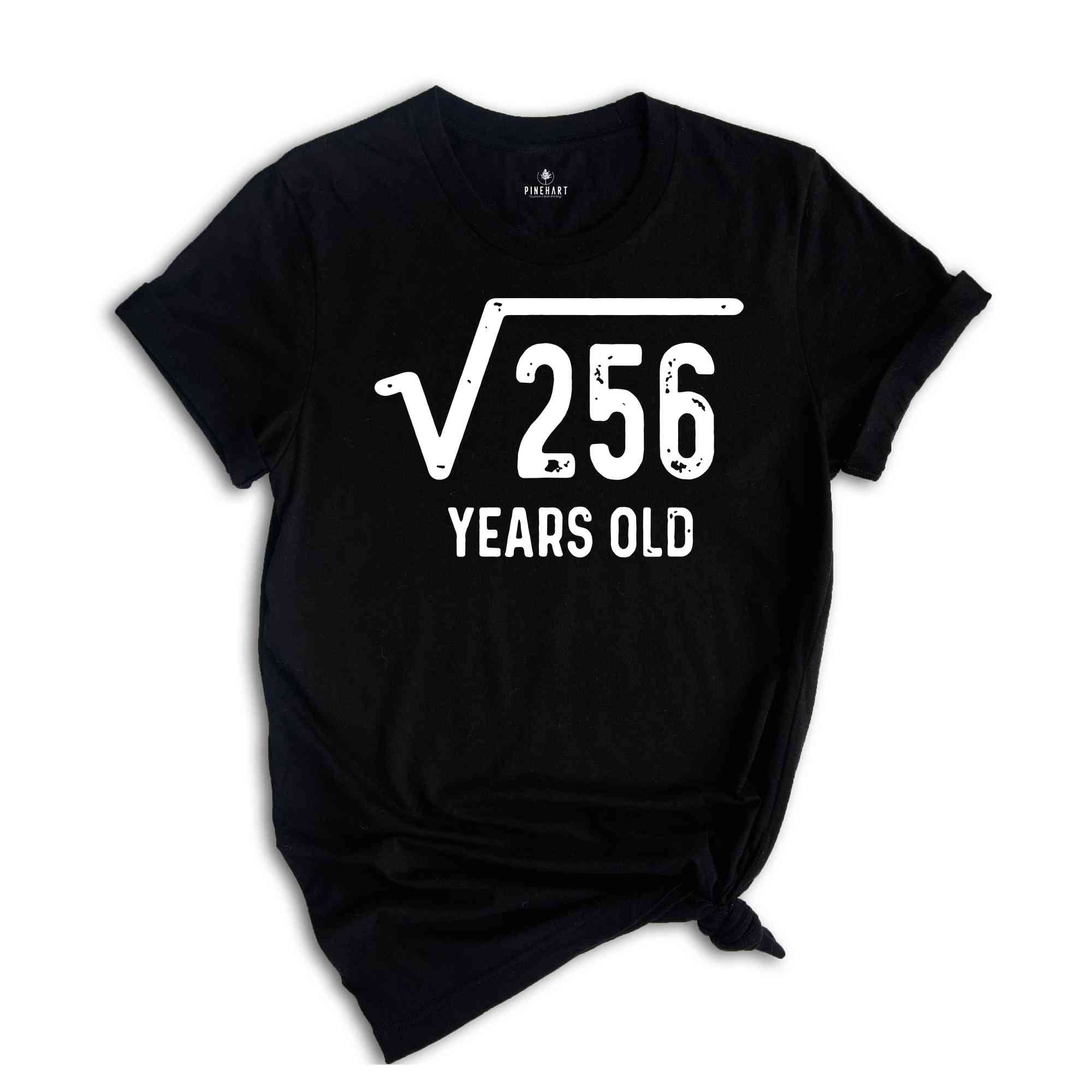 Square Root of 256 Shirt, 16th Birthday Shirt, 16th Year Old Gift, 16th Birthday Shirt, Sweet 16 Shirt, Sweet Sixteen Shirt, Birthday Tee