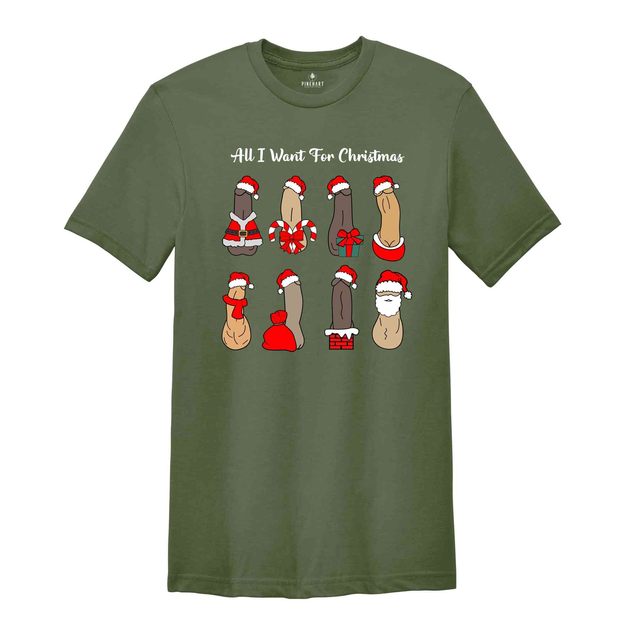 All I Want For Christmas Shirt, Dick Diversity Shirt, Adult Humor Shirt, Sarcastic Xmas Shirt, Adult Humor Gift