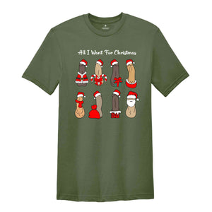 All I Want For Christmas Shirt, Dick Diversity Shirt, Adult Humor Shirt, Sarcastic Xmas Shirt, Adult Humor Gift