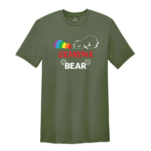 Grandma Bear LGBT Shirt, Gay Pride Shirt, Rainbow Shirt, Equality Shirt, Pride Month Shirt, Queer Shirt, Pride Ally Shirt, Support LGBT