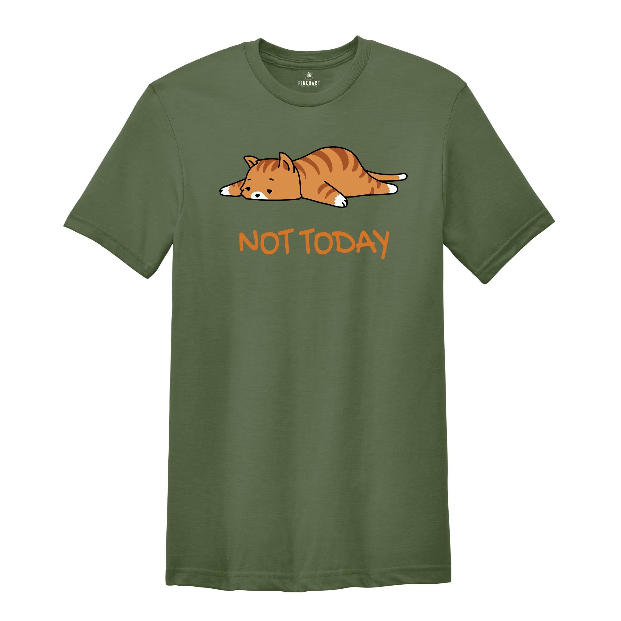 Not Today Cat Shirt, Funny Kitten Shirt, Funny Cat Tshirts, Lazy Cats, Sleepy Cat Lover Shirt, Lazy Cat Tees