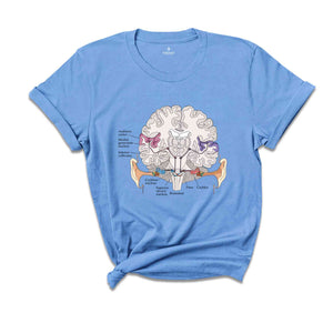 Auditory pathway Shirt, Anatomical Brain Shirt, Anatomy Shirts, Nursing Student Shirt, Doctor Shirt, Cool Brain Shirt, Awareness Gift