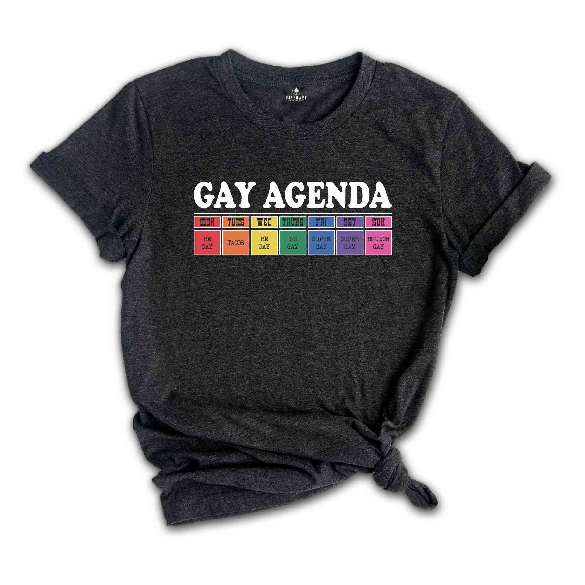 Gay Agenda Shirt, Gay Shirt, Lesbian Shirt, Cute Pride Shirt, Pride Ally Shirt, LGBTQ Shirt, Pride Month Shirt, Love Is Love Shirt