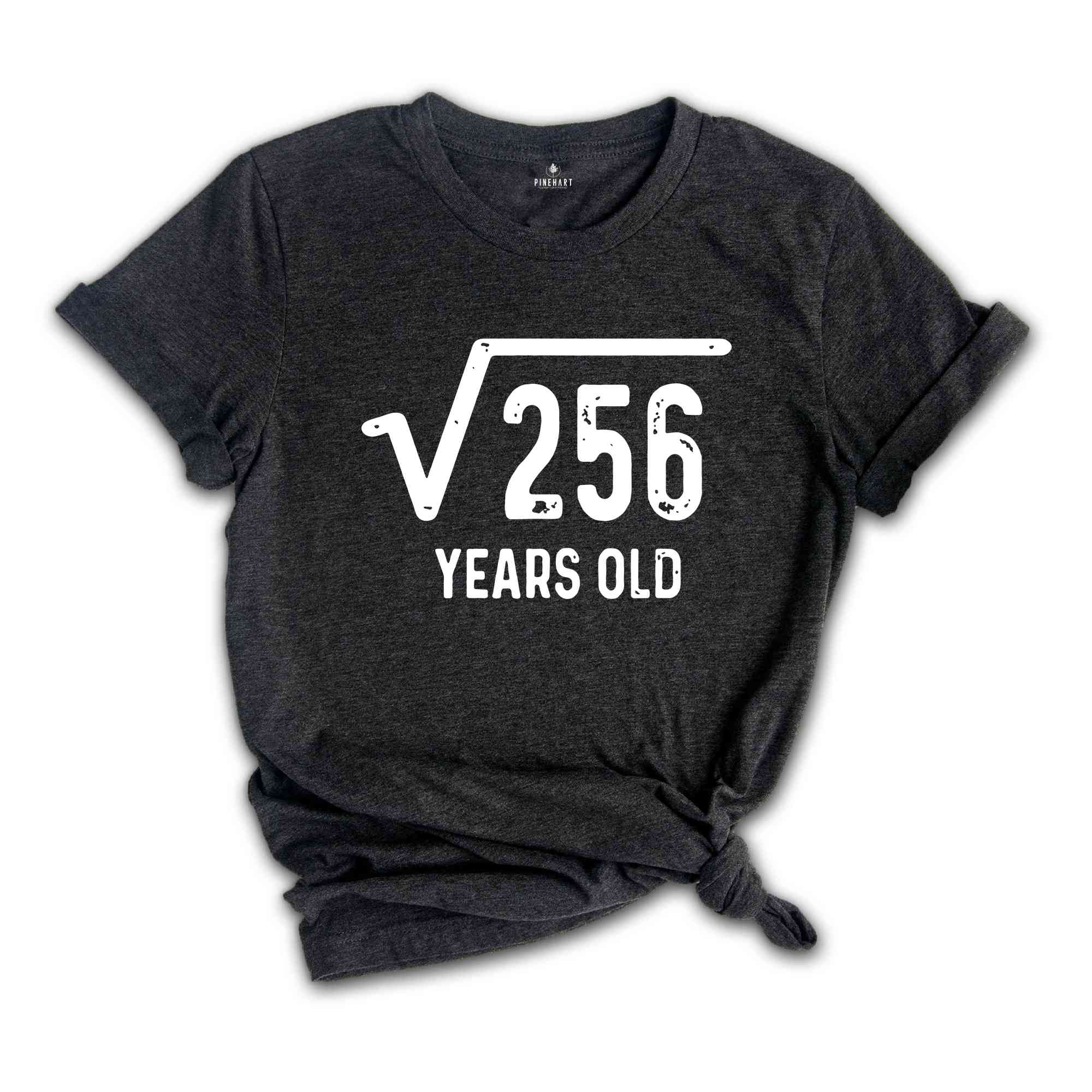 Square Root of 256 Shirt, 16th Birthday Shirt, 16th Year Old Gift, 16th Birthday Shirt, Sweet 16 Shirt, Sweet Sixteen Shirt, Birthday Tee