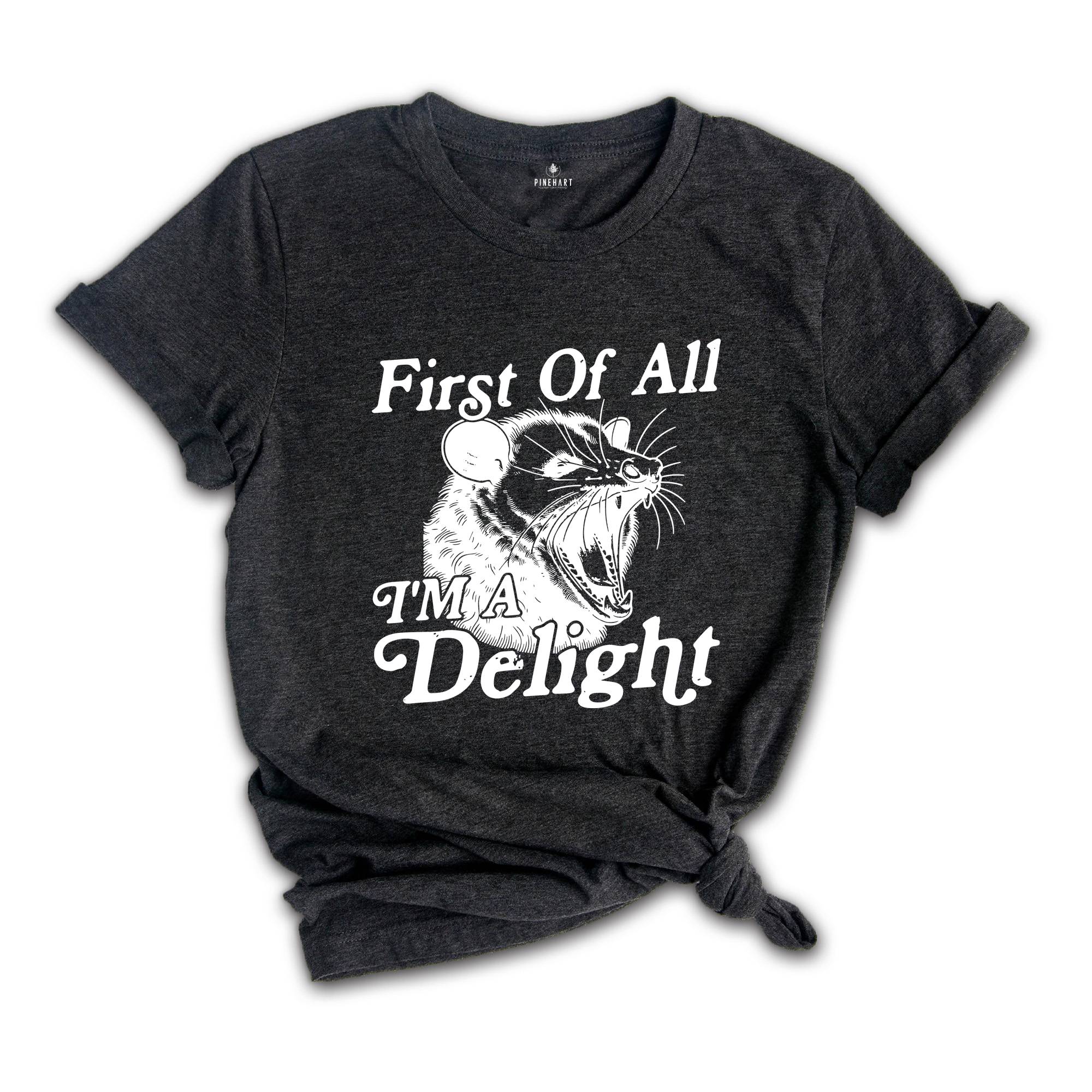 First Of All I'm A Delight Shirt, Sarcastic Shirt, Opossum Shirt, Angry Opossum Shirt, Self Love Shirt, Opossum Lover Shirt, Self Love Shirt