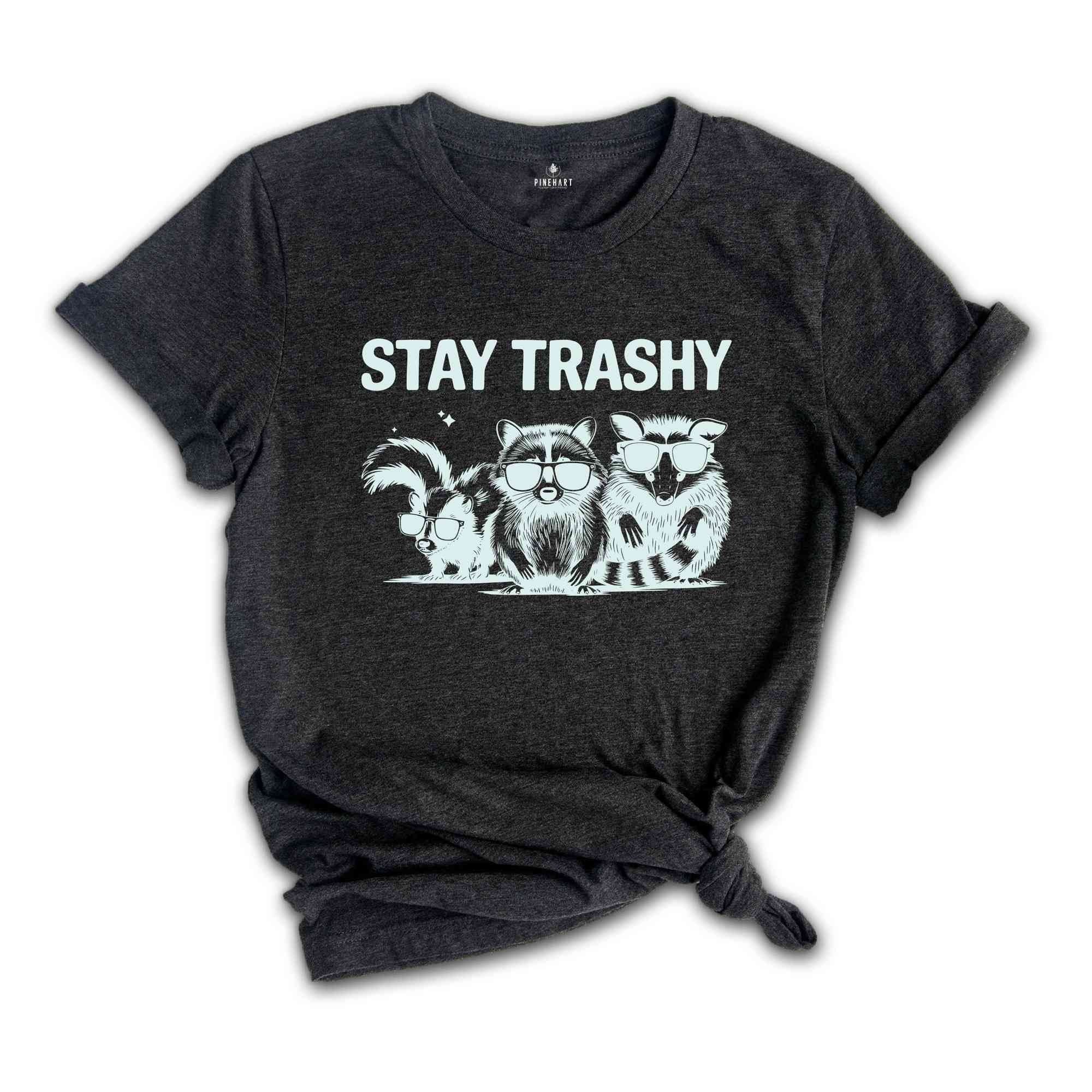 Stay Trashy Shirt, Retro Racoon Shirt, Racoon Shirt, Funny Meme Shirt, Raccoon Lover Gift, Funny Animal Shirt, Cute Animal Shirt