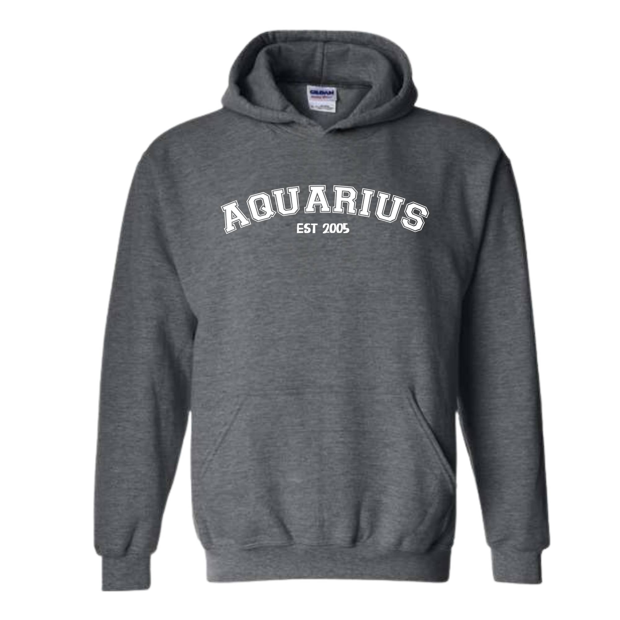 Aquarius Birthday 2005 Sweatshirt, February Birthday Hoodie, Astrology Hoodie, Astrology Gift, 20th Sweatshirt, 20th Birthday Tee