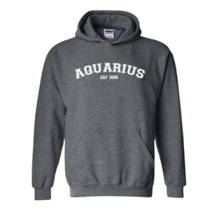 Aquarius Birthday 2005 Sweatshirt, February Birthday Hoodie, Astrology Hoodie, Astrology Gift, 20th Sweatshirt, 20th Birthday Tee