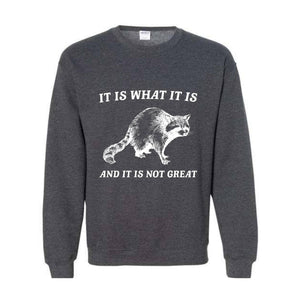 It Is What It Is And It Is Not Great Sweatshirt, It Is Not Great Hoodie, Funny Sweatshirt, Funny Memes Hoodie