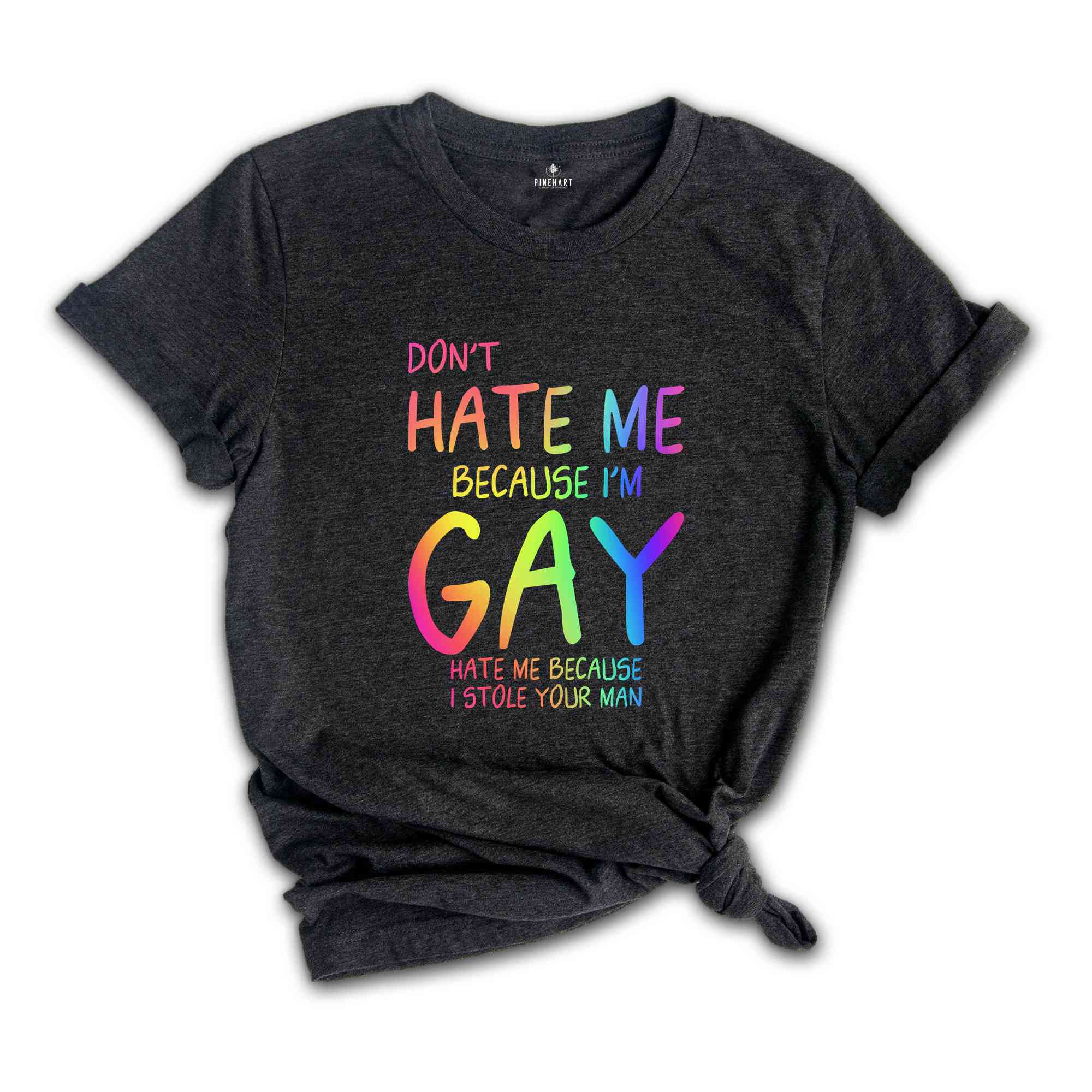 Don't Hate Me Because I'm Gay Hate Me Because I Stole Your Man Shirt, Pride Month Shirt, LGBTQ Shirt, LGBTQ Support Shirt