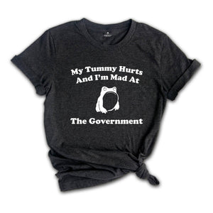 My Tummy Hurts And I'm Mad At The Government Shirt, Funny Frog Meme T-Shirt, Vintage Tee, Funny Frog Shirt, Sarsatic Human Tee