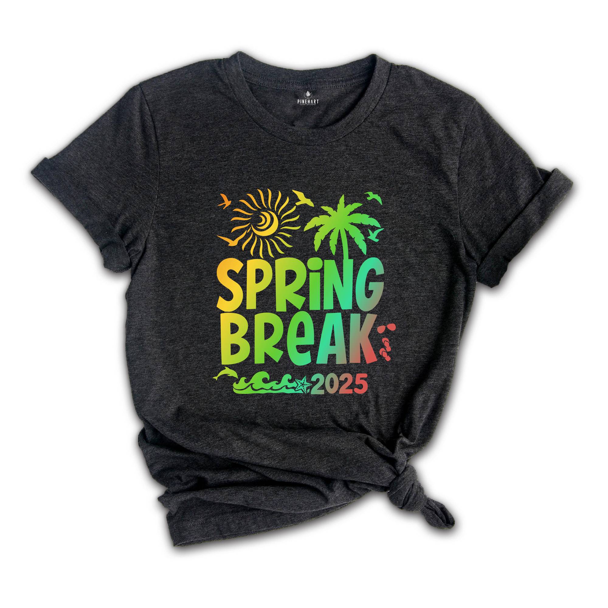 Spring Break 2025 Shirt, Beach Vibes 2025 Shirt, Beach Shirts, Family Matching Shirt, Vacation Shirt, Gift for Friends, Summer Shirt