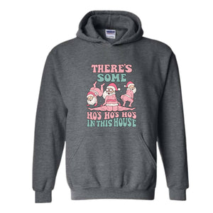 There Are Some Ho Ho Hoodie, Funny Christmas Hoodie, Christmas Holiday Hoodie, Winter Season Hoodie, Gift for Christmas