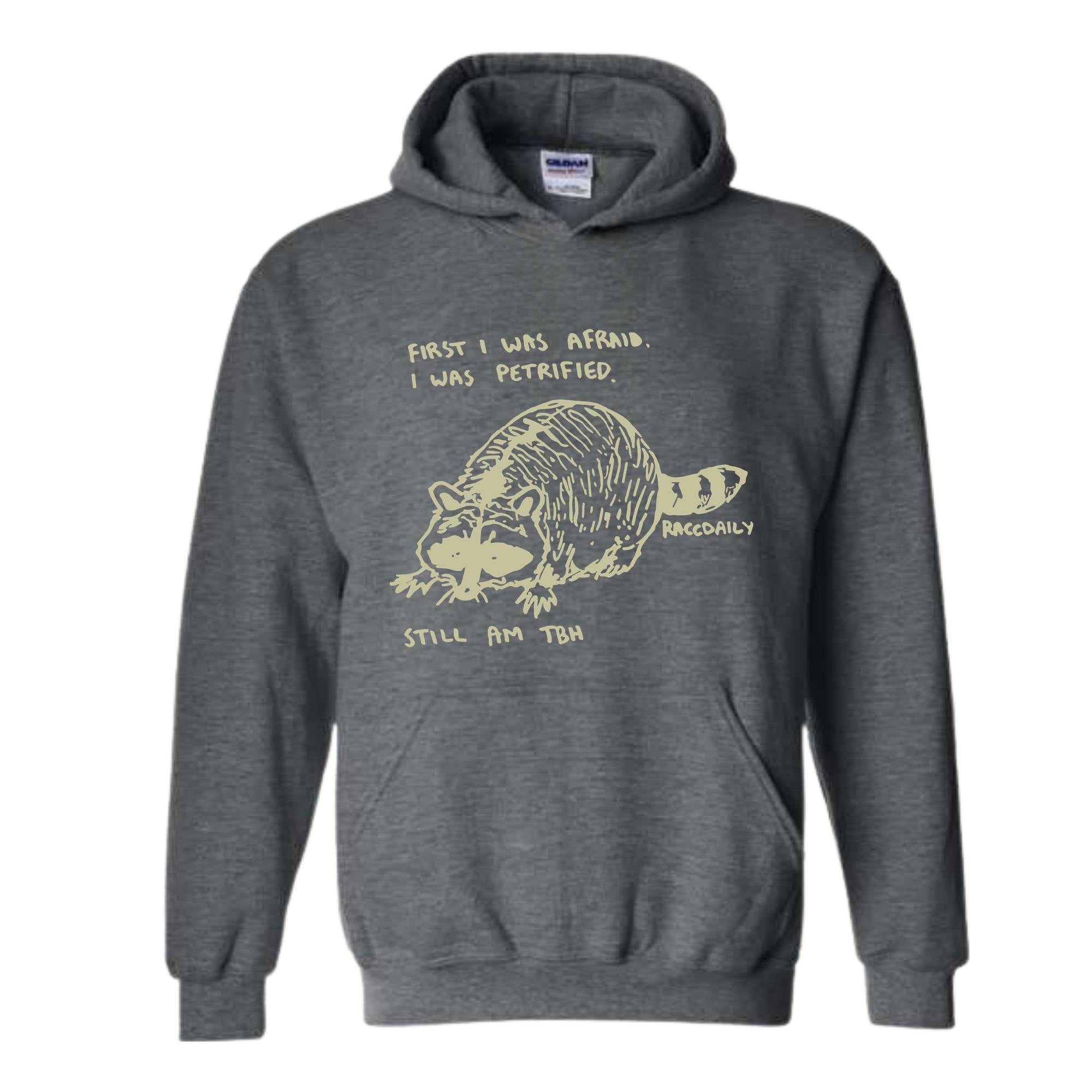 First I Was Afraid I Was Petrified Still I am TBH Hoodie, Raccoon Hoodie, Wildlife Hoodie, Funny Raccoon