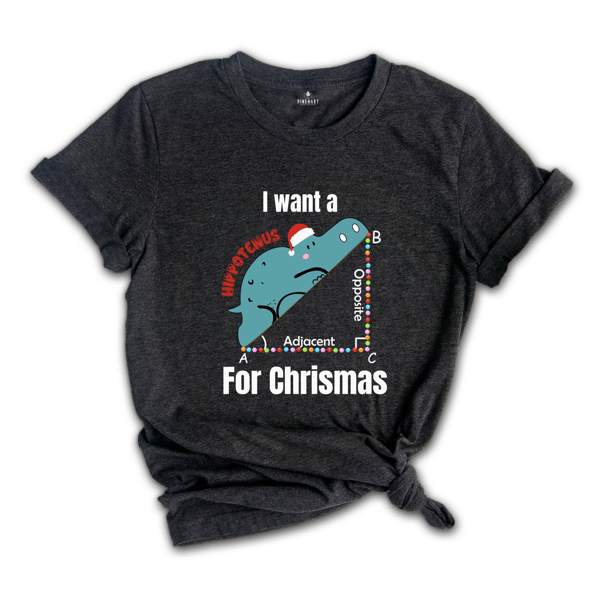 I Want A Hippopotenuse For Christmas T-Shirt, Funny Geometry Tee, Christmas Math Teacher Gift, Geometree Shirt, Cute Christmas Animal Shirt