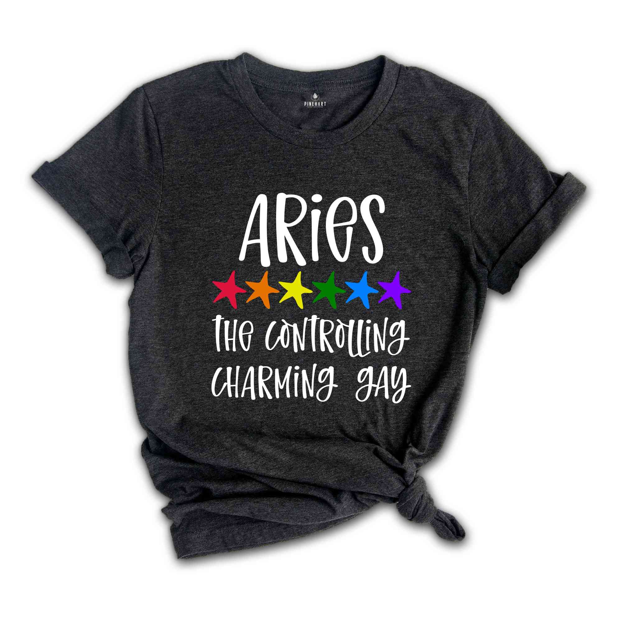 Aries The Controlling Charming Gay Zodiac Shirt, LGBT Pride Shirt, Aries Shirt, Gift For Gay Shirt, Gay Pride Shirt, Gay Zodiac Shirt