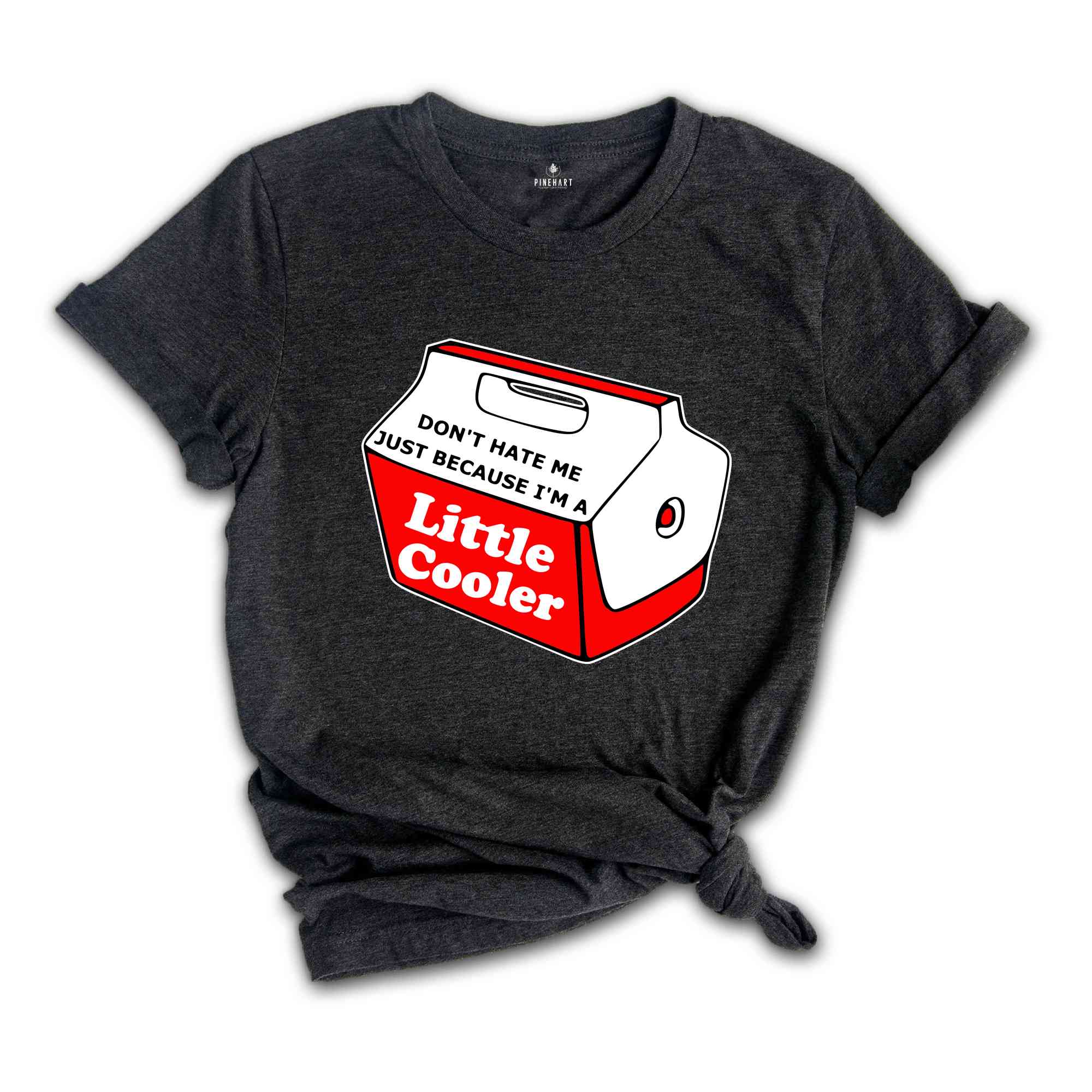 Don't Hate Me Just Because I'm a Little Cooler Shirt, Sarcastic Red Cooler Tshirt, Funny Saying Tee, Humor Quote Shirt