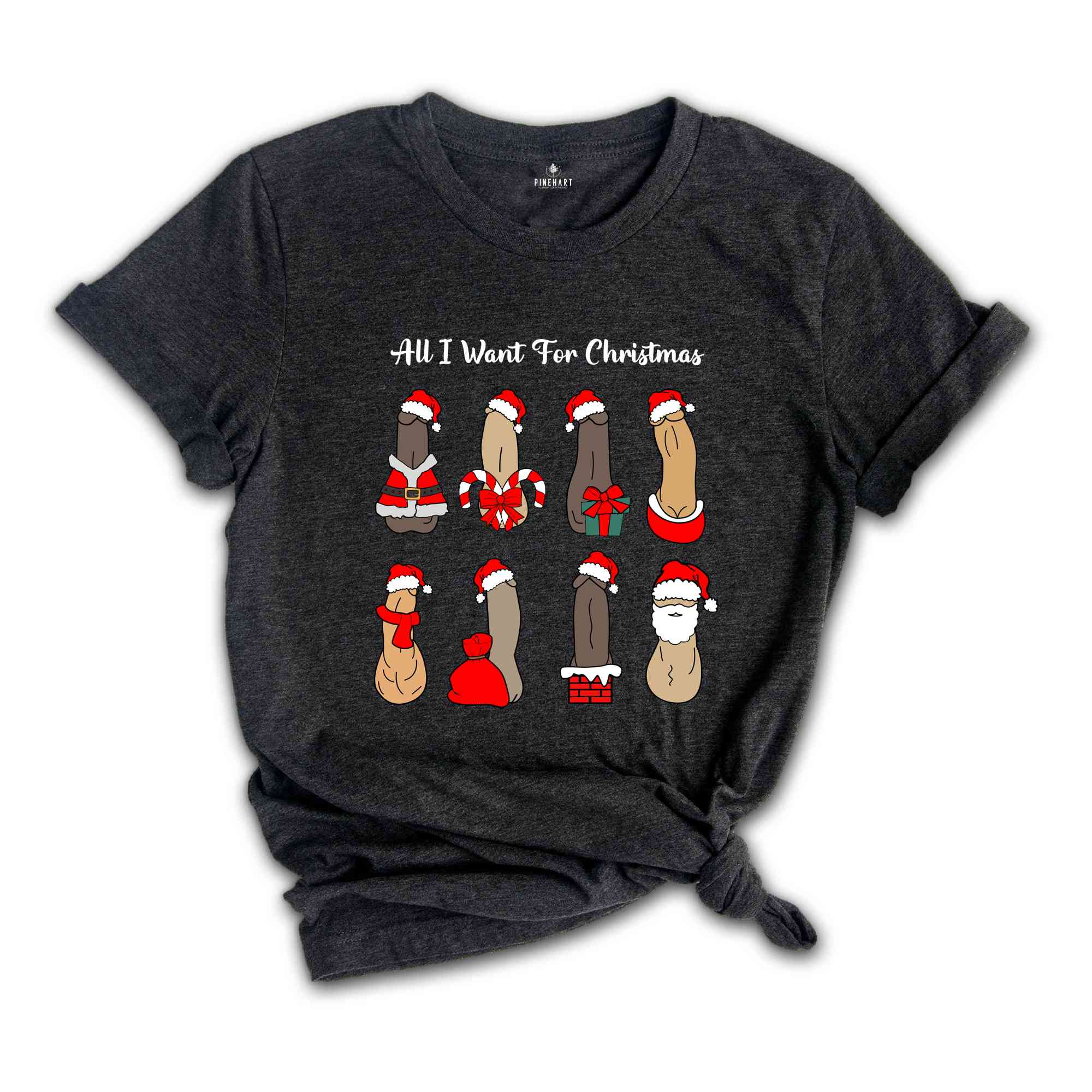 All I Want For Christmas Shirt, Dick Diversity Shirt, Adult Humor Shirt, Sarcastic Xmas Shirt, Adult Humor Gift