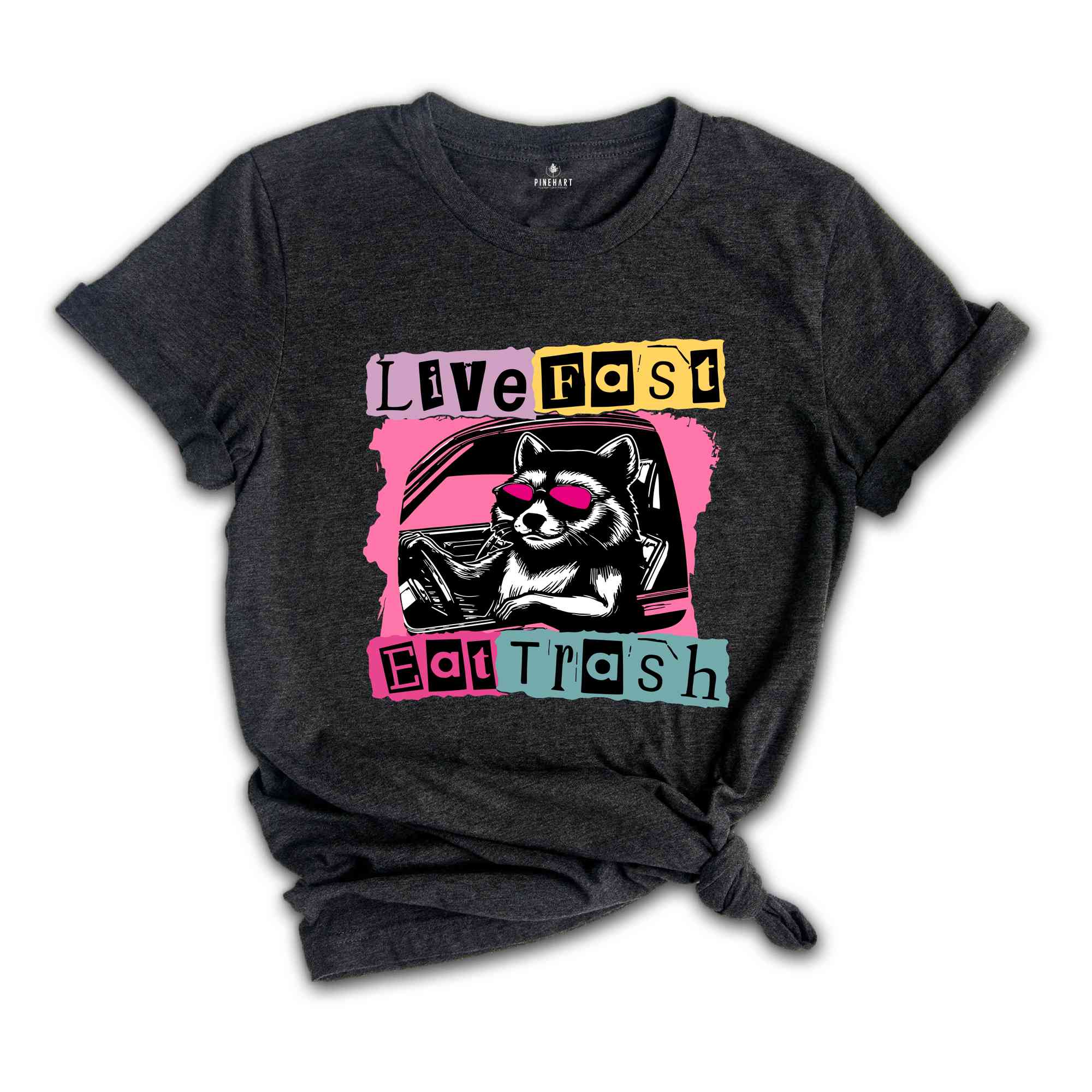 Live Fast Eat Trash Shirt, Trash Panda Funny Tee, Panda Shirt, Meme T-Shirt, Funny T-Shirt, Sarcastic Shirt, Weirdcore Meme Shirt