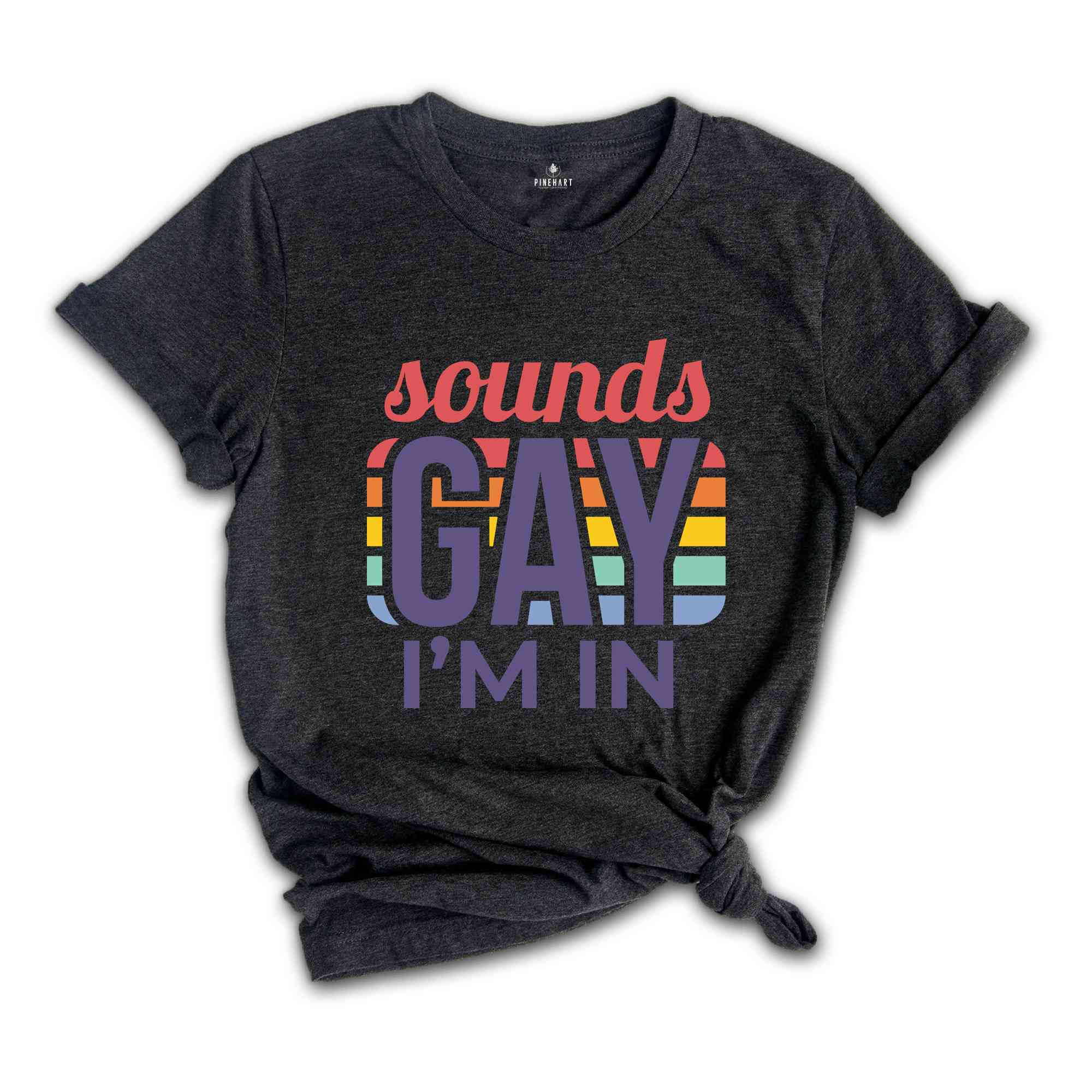 Sounds Gay I'm In Shirt, Gay Shirt, Gift For Gay, Gay Pride Shirt, Pride Shirt, Love Is Love, Rainbow LGBT Shirt, Funny Gay Shirt