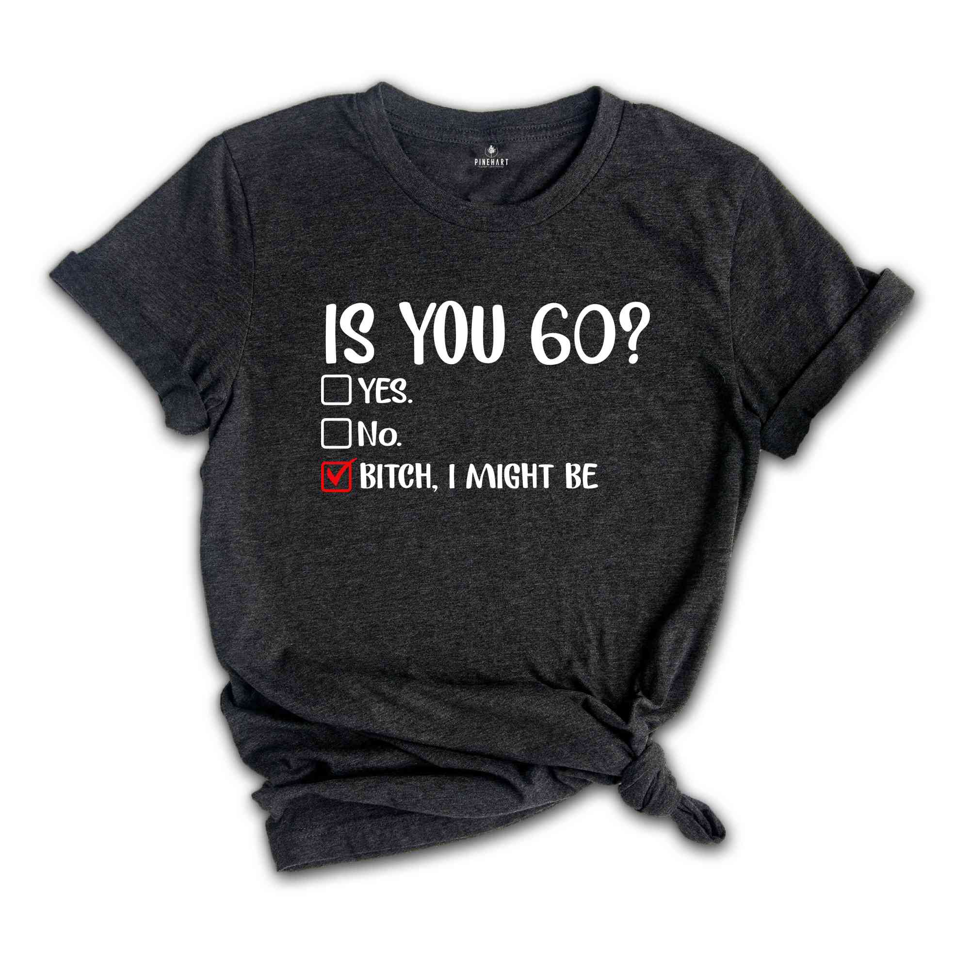 Is You 60? Bitch I Might Be Shirt, Funny 60th Birthday Shirt, Sassy 60th Birthday Tee, 60th Birthday Gift, Gift For 60th Birthday