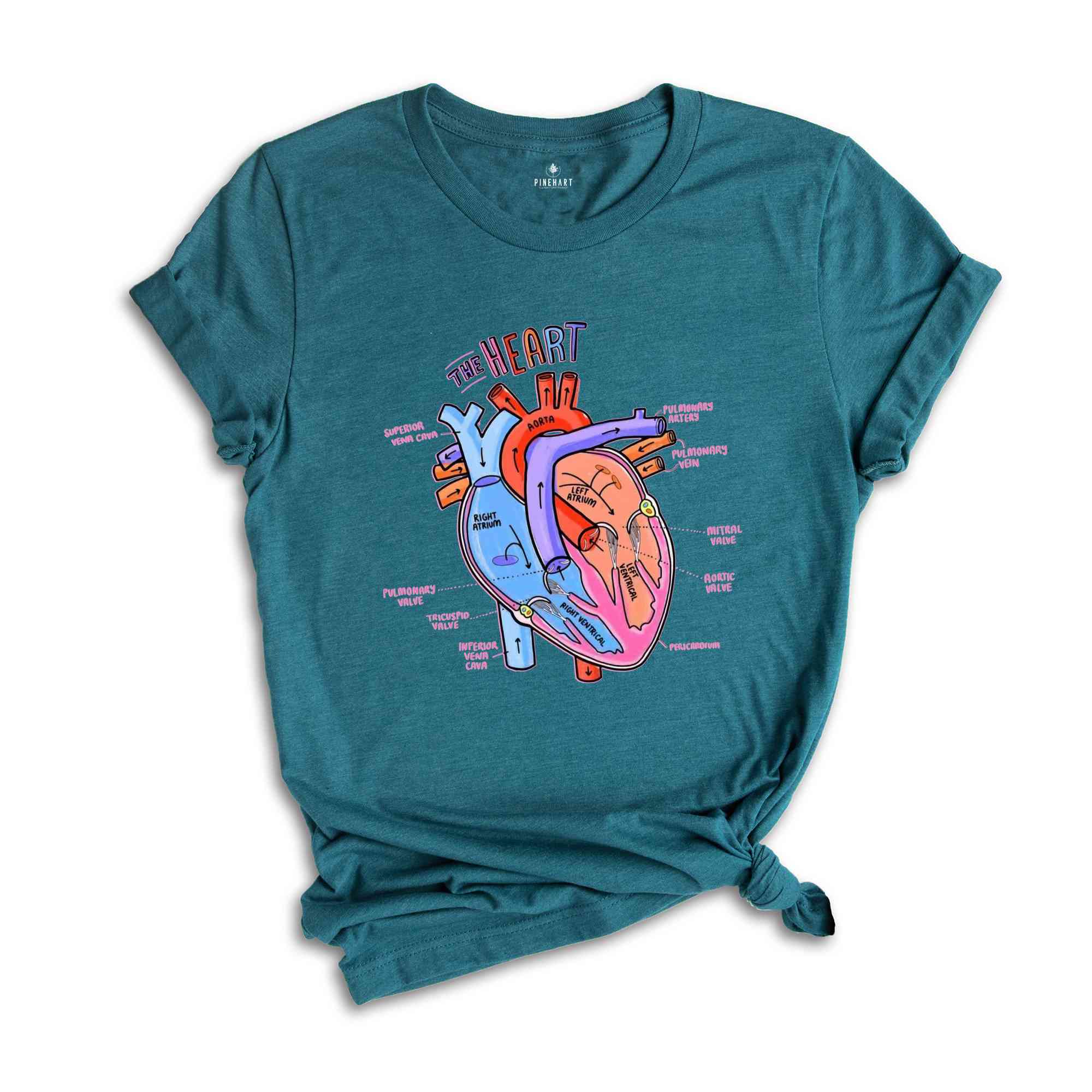 Heart Anatomy Shirt, Nurse Shirt, Anatomy Shirt, Cardiac Nurse Shirt, Cardiologist Anatomical Heart Shirt, Nursing Student,Heart Nurse Shirt