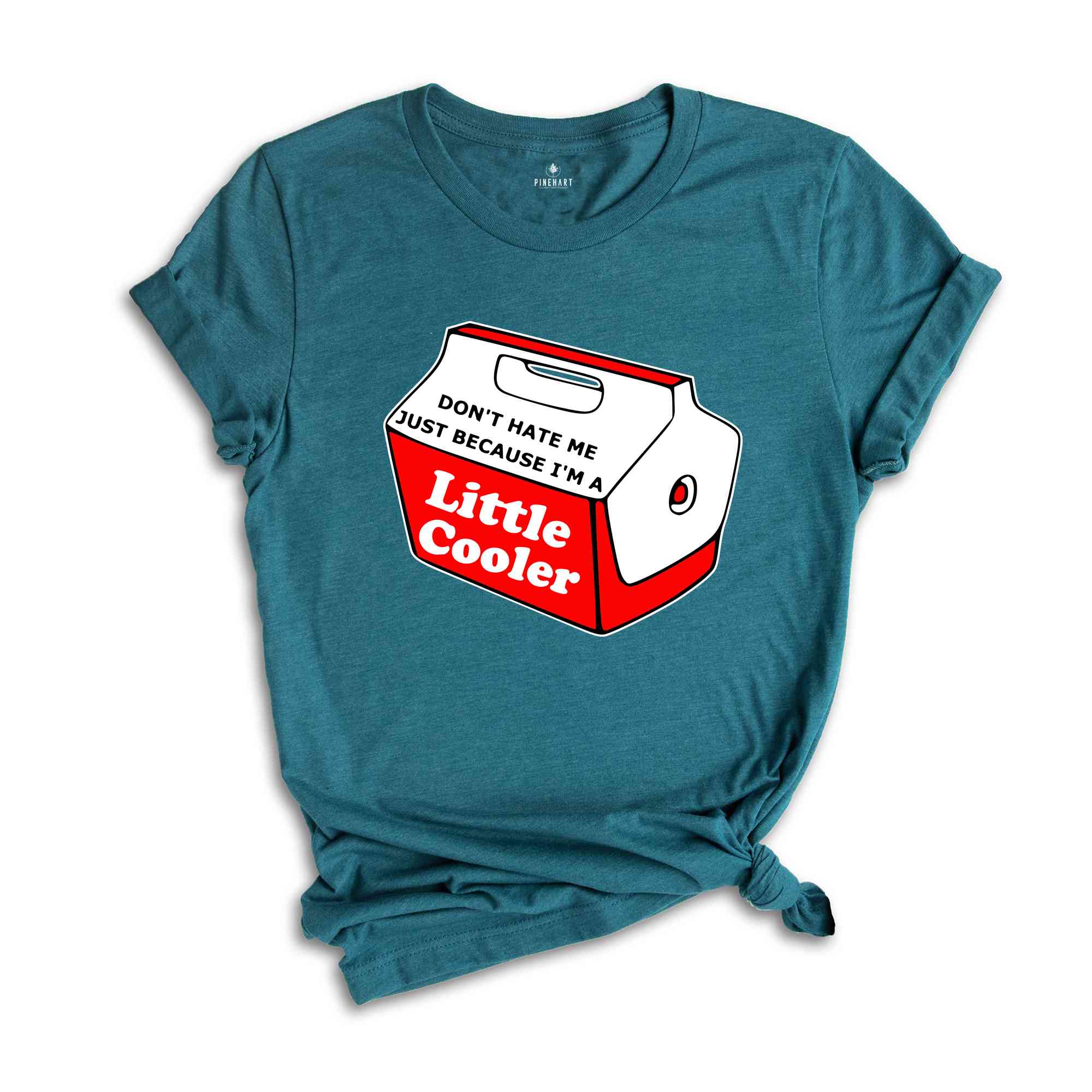 Don't Hate Me Just Because I'm a Little Cooler Shirt, Sarcastic Red Cooler Tshirt, Funny Saying Tee, Humor Quote Shirt