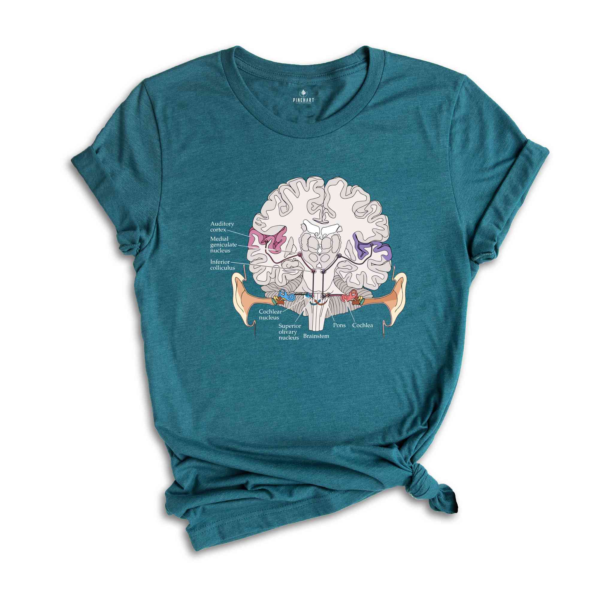 Auditory pathway Shirt, Anatomical Brain Shirt, Anatomy Shirts, Nursing Student Shirt, Doctor Shirt, Cool Brain Shirt, Awareness Gift