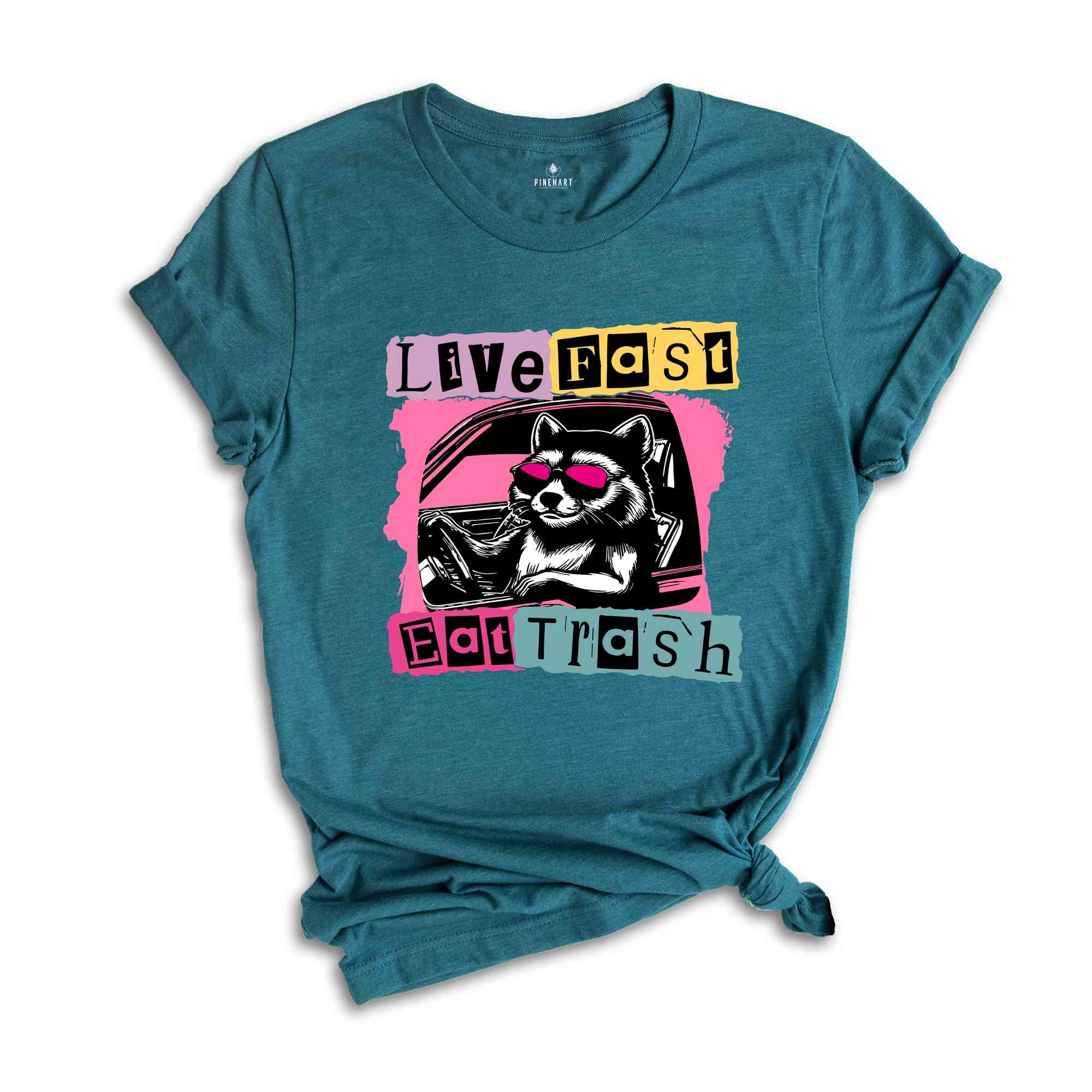 Live Fast Eat Trash Shirt, Trash Panda Funny Tee, Panda Shirt, Meme T-Shirt, Funny T-Shirt, Sarcastic Shirt, Weirdcore Meme Shirt