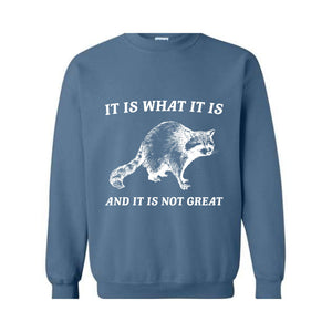 It Is What It Is And It Is Not Great Sweatshirt, It Is Not Great Hoodie, Funny Sweatshirt, Funny Memes Hoodie