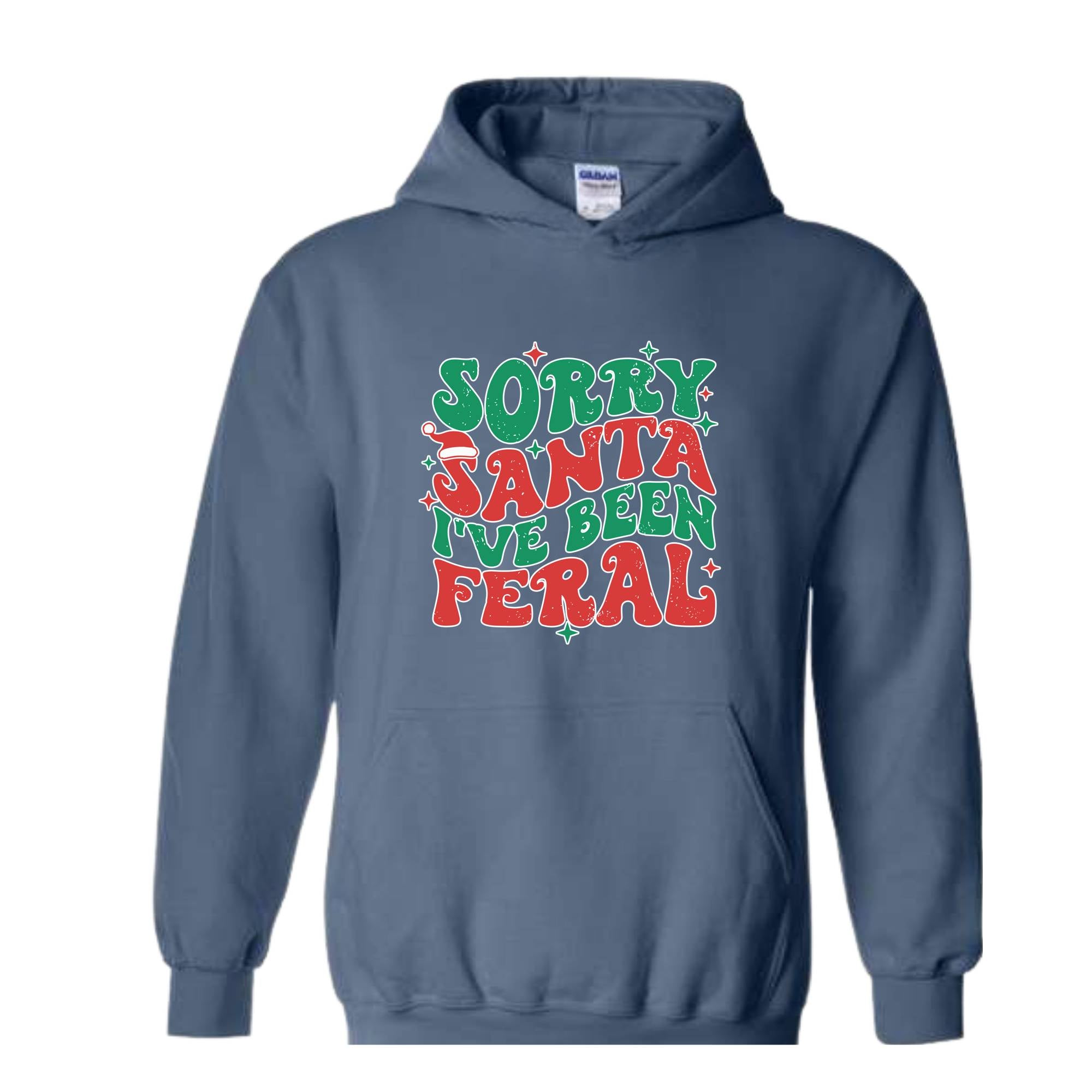 Sorry Santa I've Been Feral Sweatshirt, Funny Christmas Sweatshirt, Christmas Vibes Sweater, Cute Christmas Sweatshirt