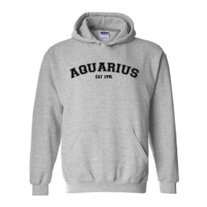 Aquarius Birthday 1995 Sweatshirt, February Birthday Hoodie, Astrology Hoodie, Astrology Gift, 30th Sweatshirt, 30th Birthday Tee