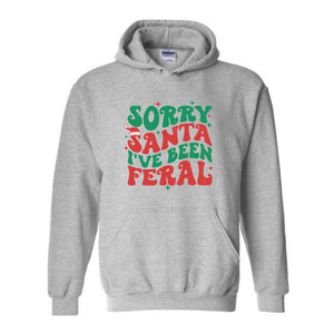 Sorry Santa I've Been Feral Sweatshirt, Funny Christmas Sweatshirt, Christmas Vibes Sweater, Cute Christmas Sweatshirt