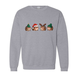 Hedgehog Christmas Sweatshirt, Hedgehog Santa Sweat, Hedgehog Lover Gift, Holidays Sweatshirt, Christmas Gifts