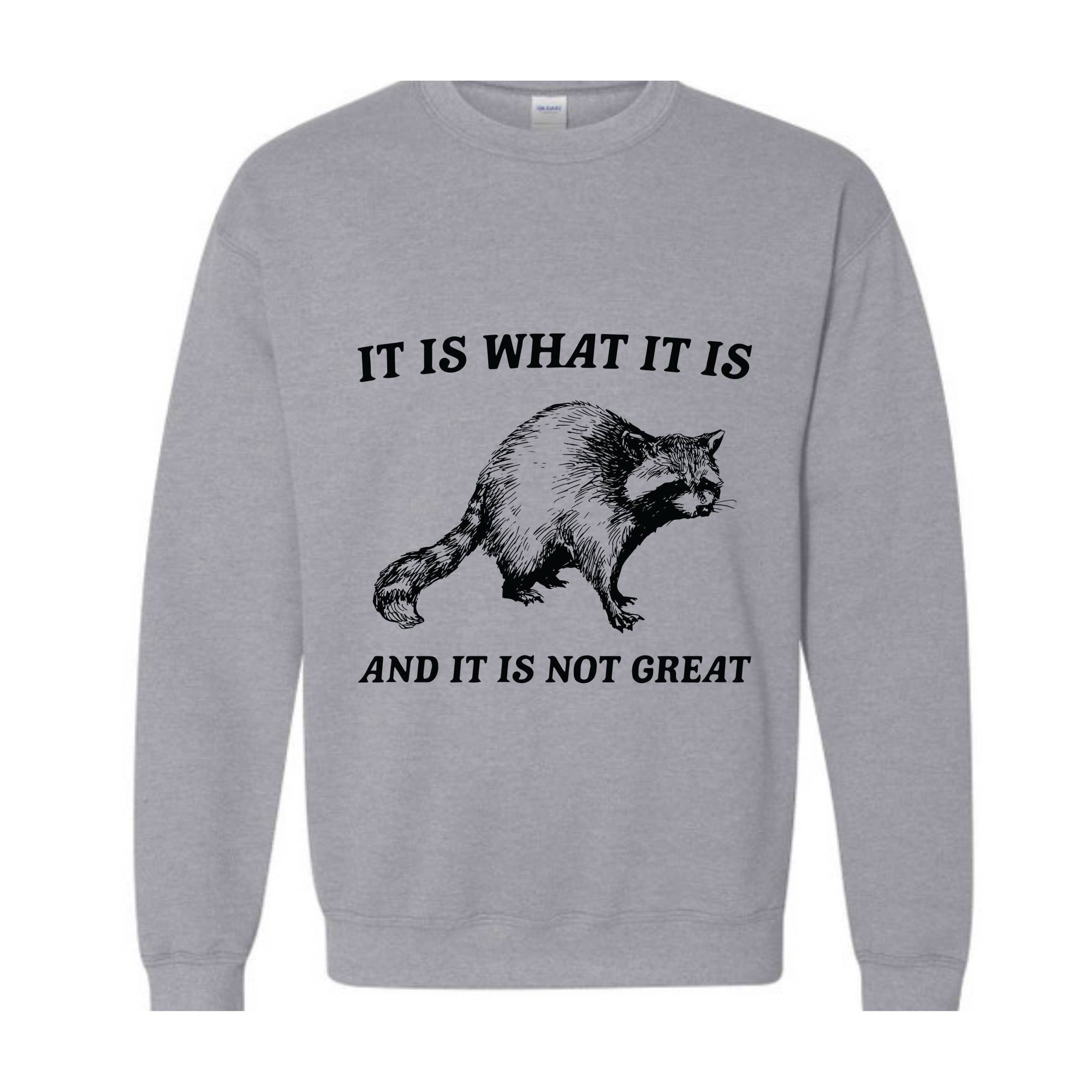 It Is What It Is And It Is Not Great Sweatshirt, It Is Not Great Hoodie, Funny Sweatshirt, Funny Memes Hoodie