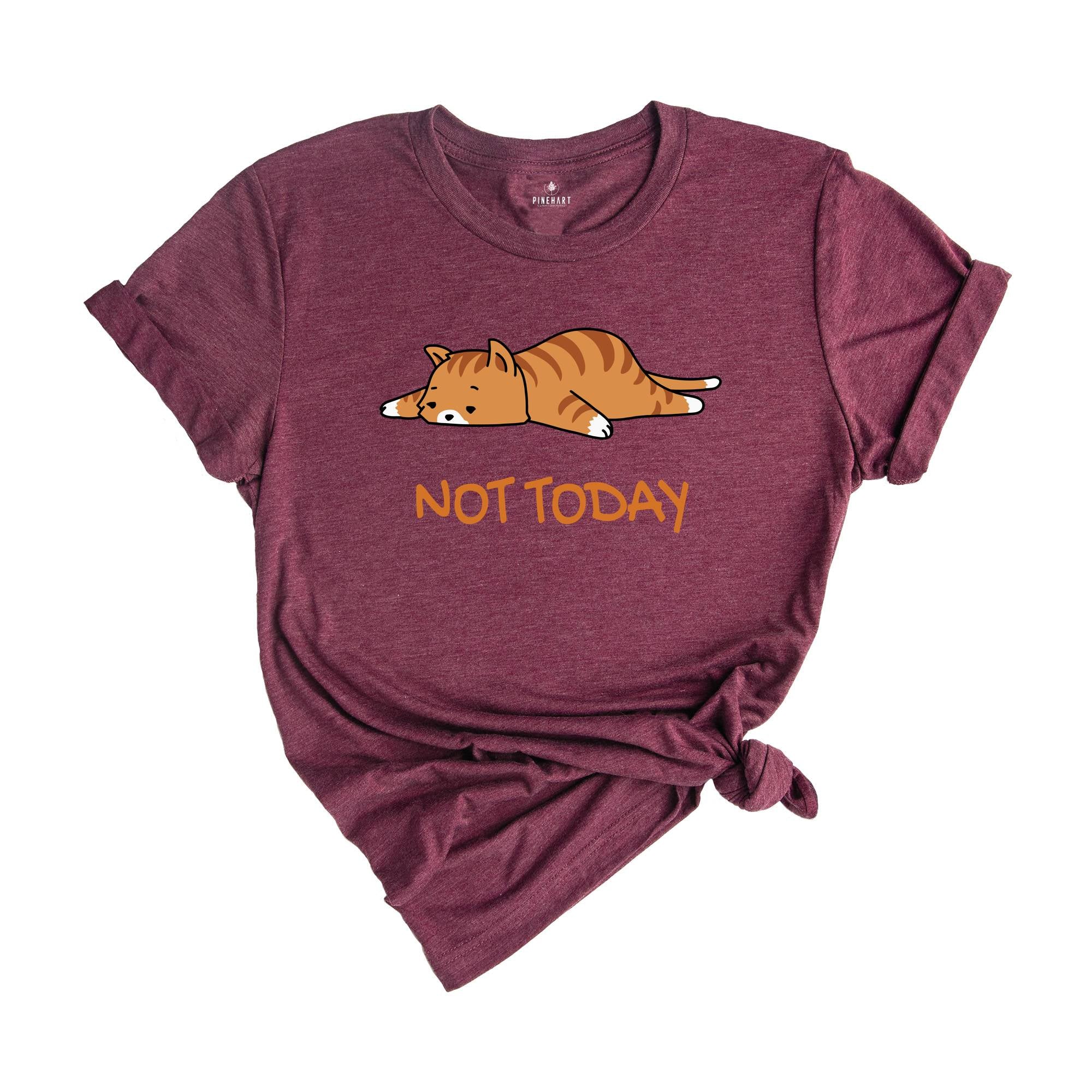 Not Today Cat Shirt, Funny Kitten Shirt, Funny Cat Tshirts, Lazy Cats, Sleepy Cat Lover Shirt, Lazy Cat Tees