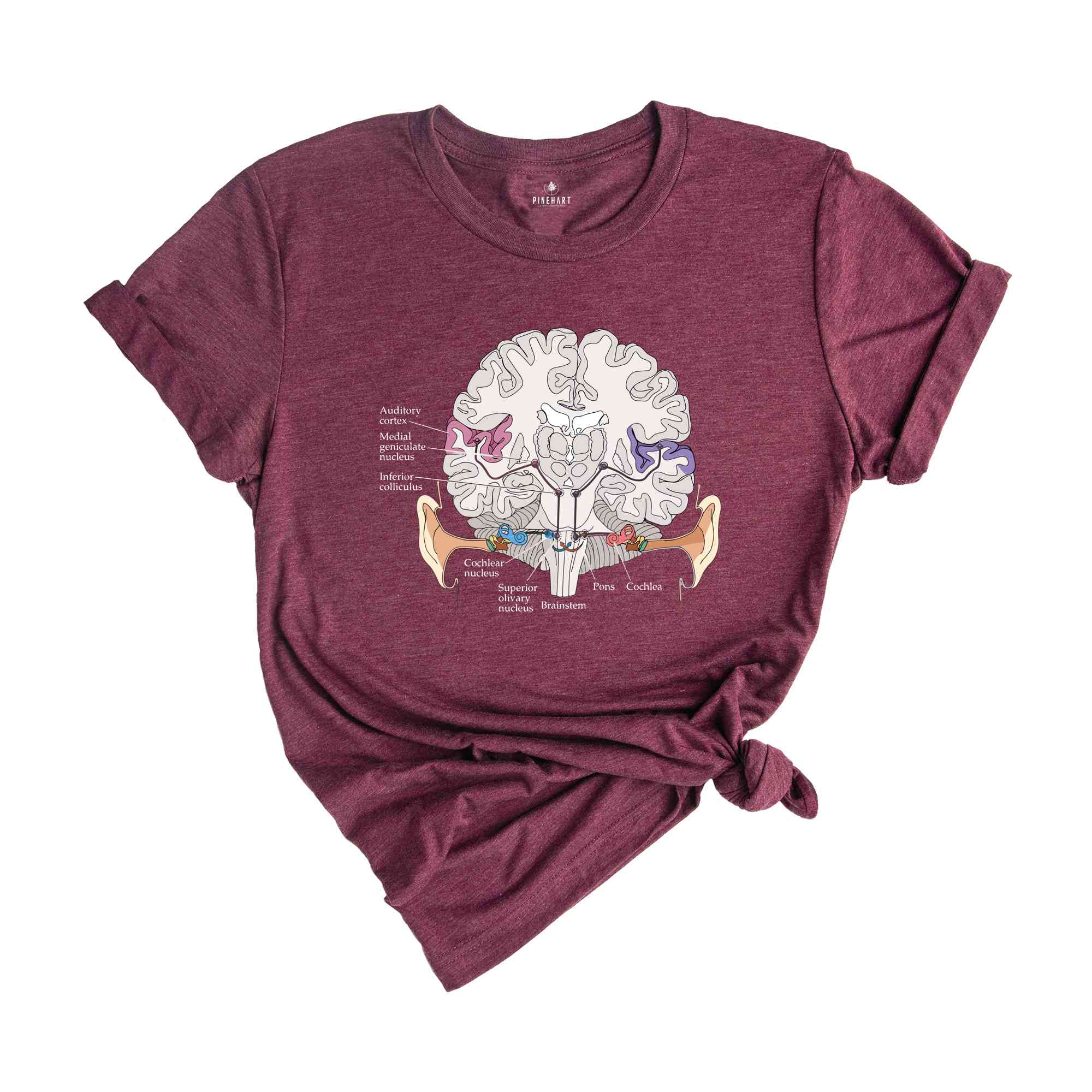 Auditory pathway Shirt, Anatomical Brain Shirt, Anatomy Shirts, Nursing Student Shirt, Doctor Shirt, Cool Brain Shirt, Awareness Gift