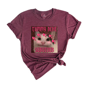 Tummy Ache Survivor Funny Cat Meme T-shirt, Goofy Ahh Cats Tee , Trendy Summer Shirt, Ironic Cat T-shirt, Silly Stupid Cat Shirt