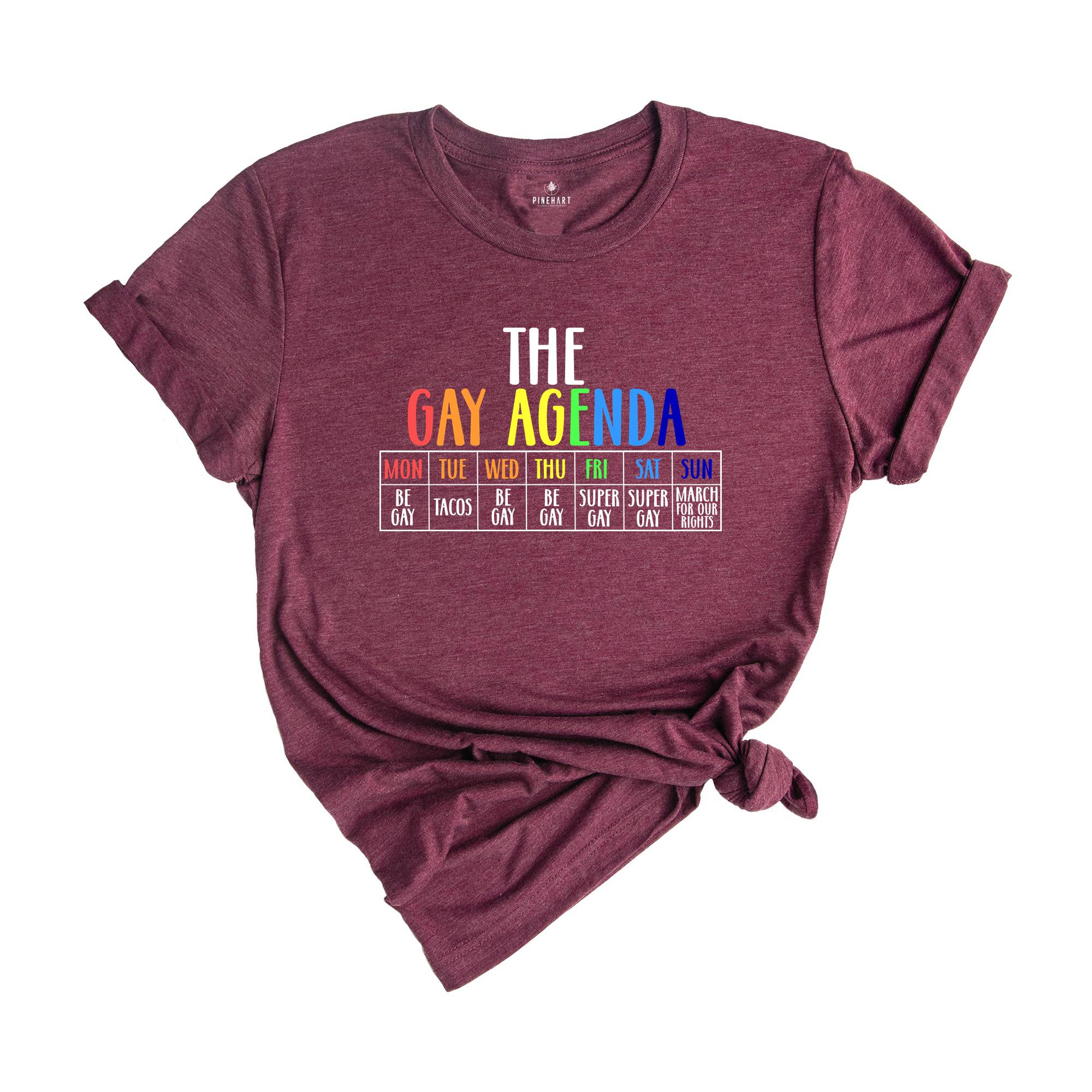 The Gay Agenda Shirt, Funny LGBT Shirt, Pride Rainbow Shirt, LGBTQ Shirt, Gift Gay Lesbian Shirt, LGBTQ+ Shirt