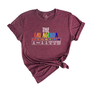 The Gay Agenda Shirt, Funny LGBT Shirt, Pride Rainbow Shirt, LGBTQ Shirt, Gift Gay Lesbian Shirt, LGBTQ+ Shirt